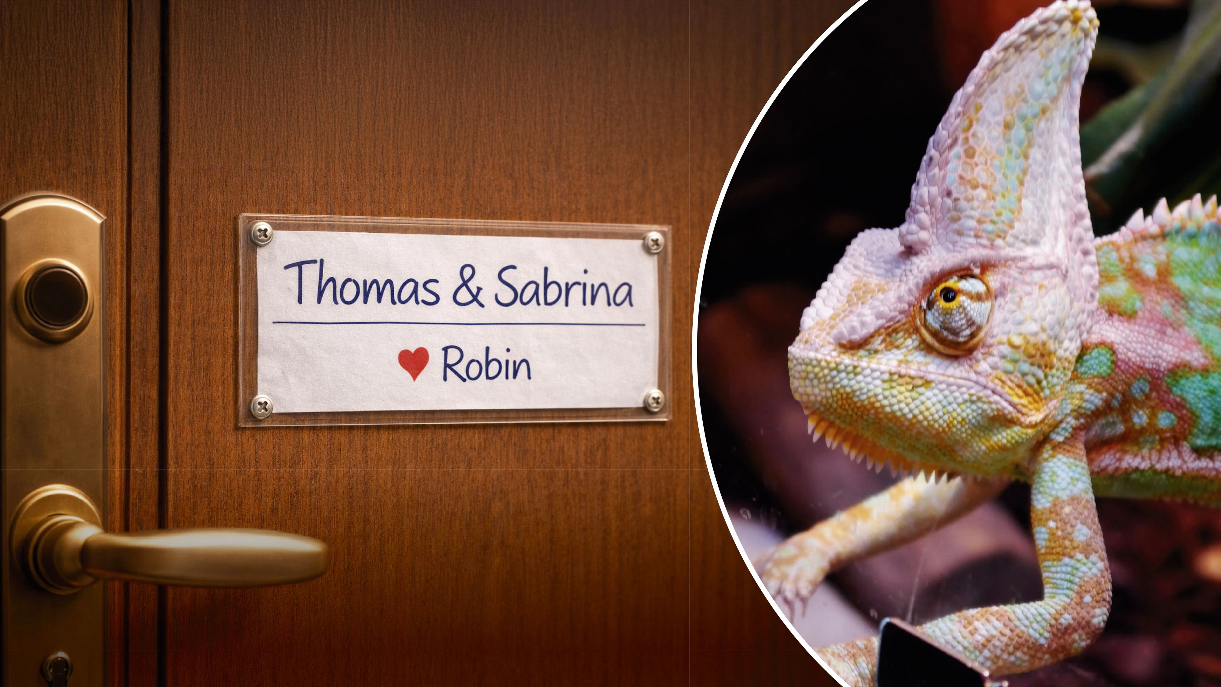 Bei der Nachschau des Jugendamtes stellte sich heraus, dass es sich bei dem vermeintlichen Kind "Robin" um ein Chamäleon handelt. 