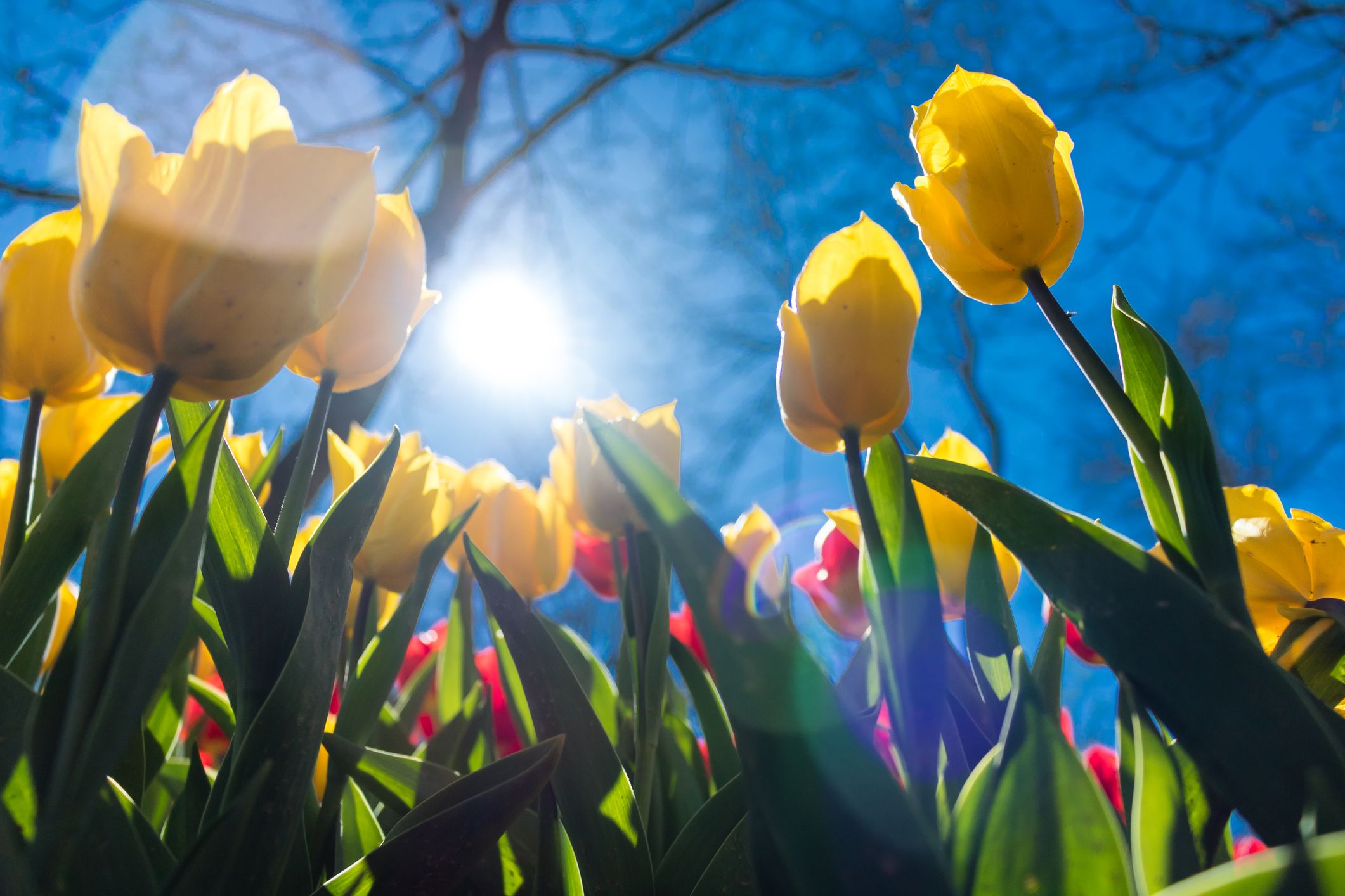 Heute.at - Wetter zu Ostern in Österreich kann sich sehen lassen
