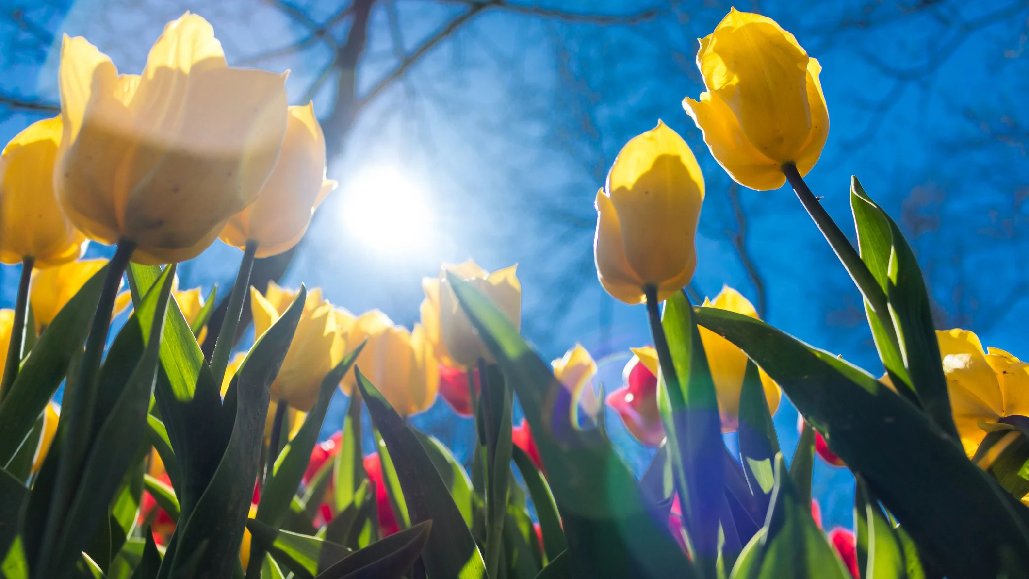 Heute.at - Wetter zu Ostern in Österreich kann sich sehen lassen
