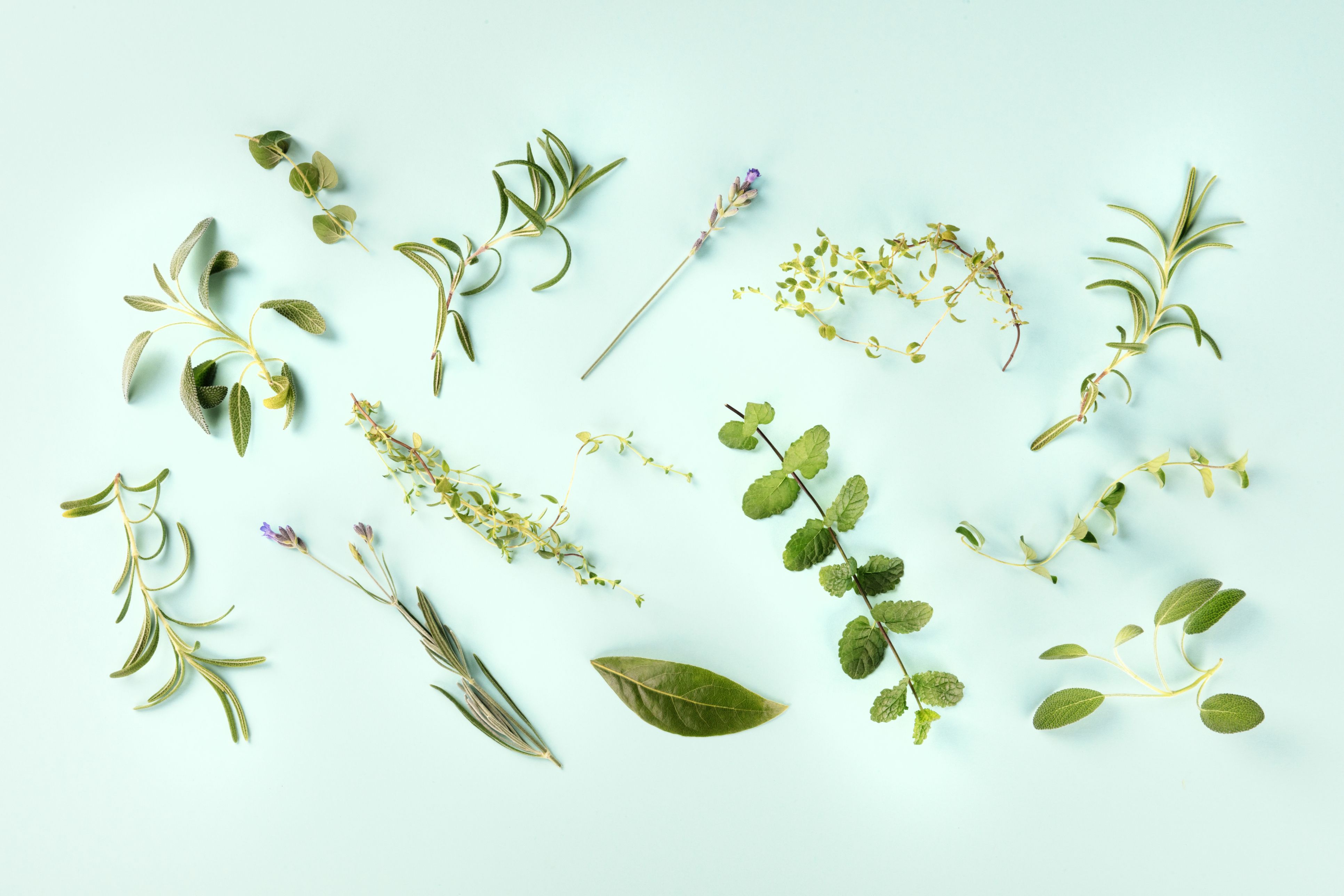 Kräuter ersetzen keine medizinische Behandlung, können aber eine sinnvolle Ergänzung im Alltag sein.