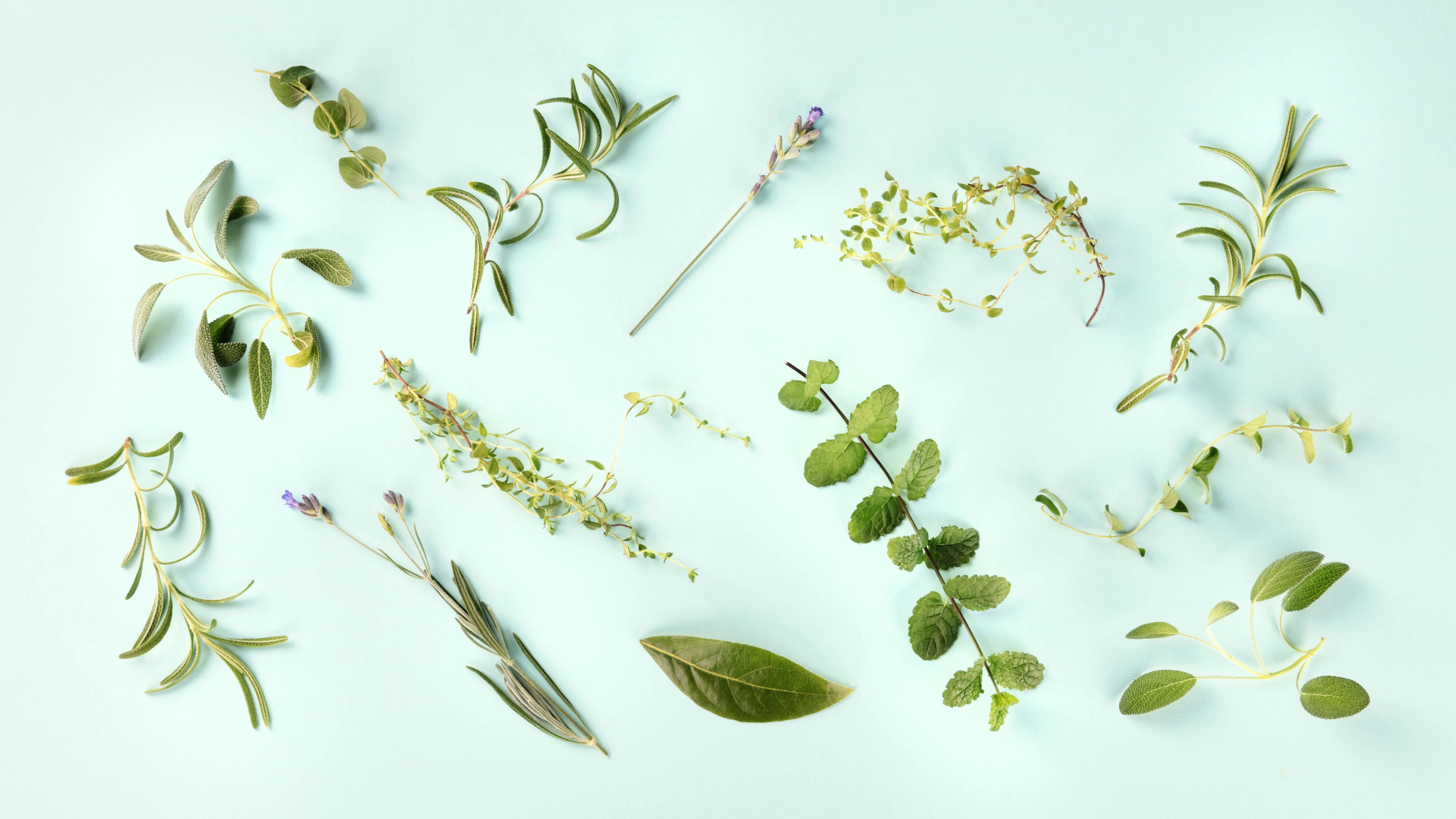 Heute.at - Diese 3 Hilfsmittel verstecken sich in deiner Küche