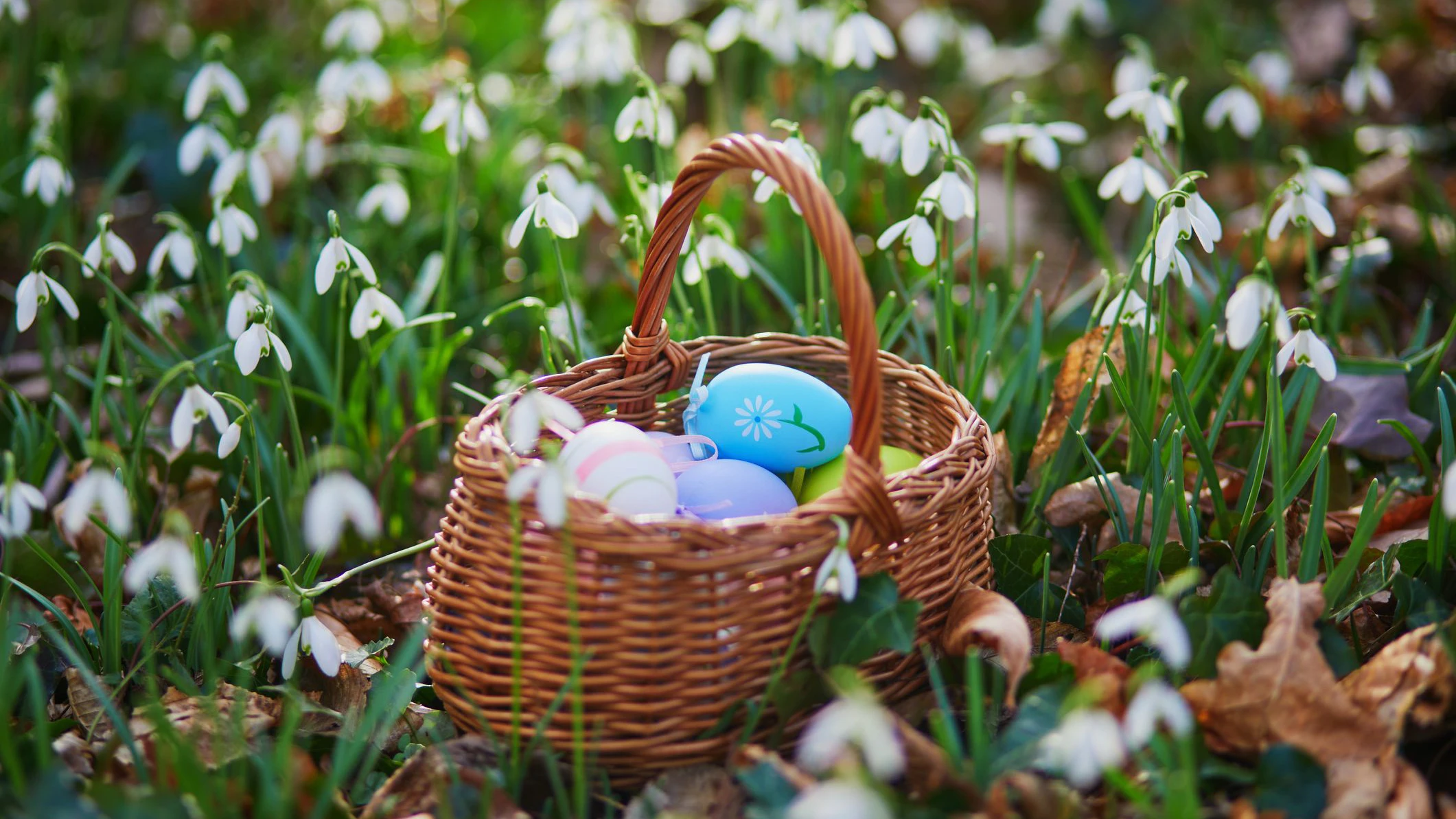 Heute.at - Alles anders! Experte sagt jetzt das Osterwetter an