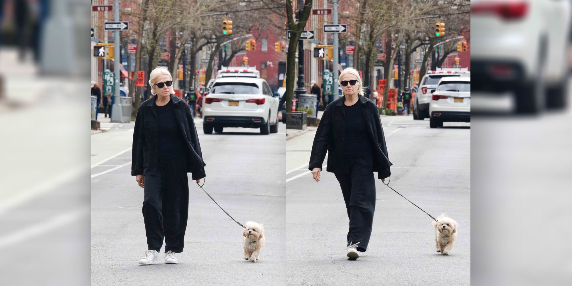 Wer geht denn hier spazieren?