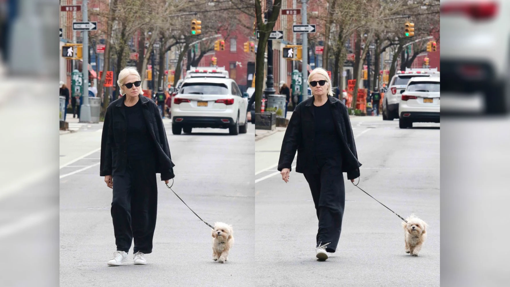 Wer geht denn hier spazieren?