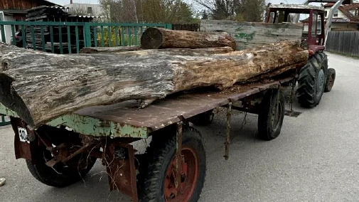 Heute.at - Polizei kann nur staunen, wie dieser Transport ablief