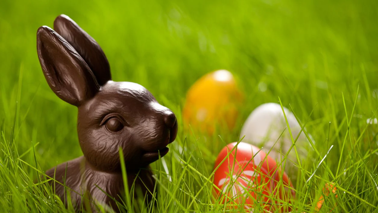 Heute.at - Diese Schokohasen solltest du ins Nest legen