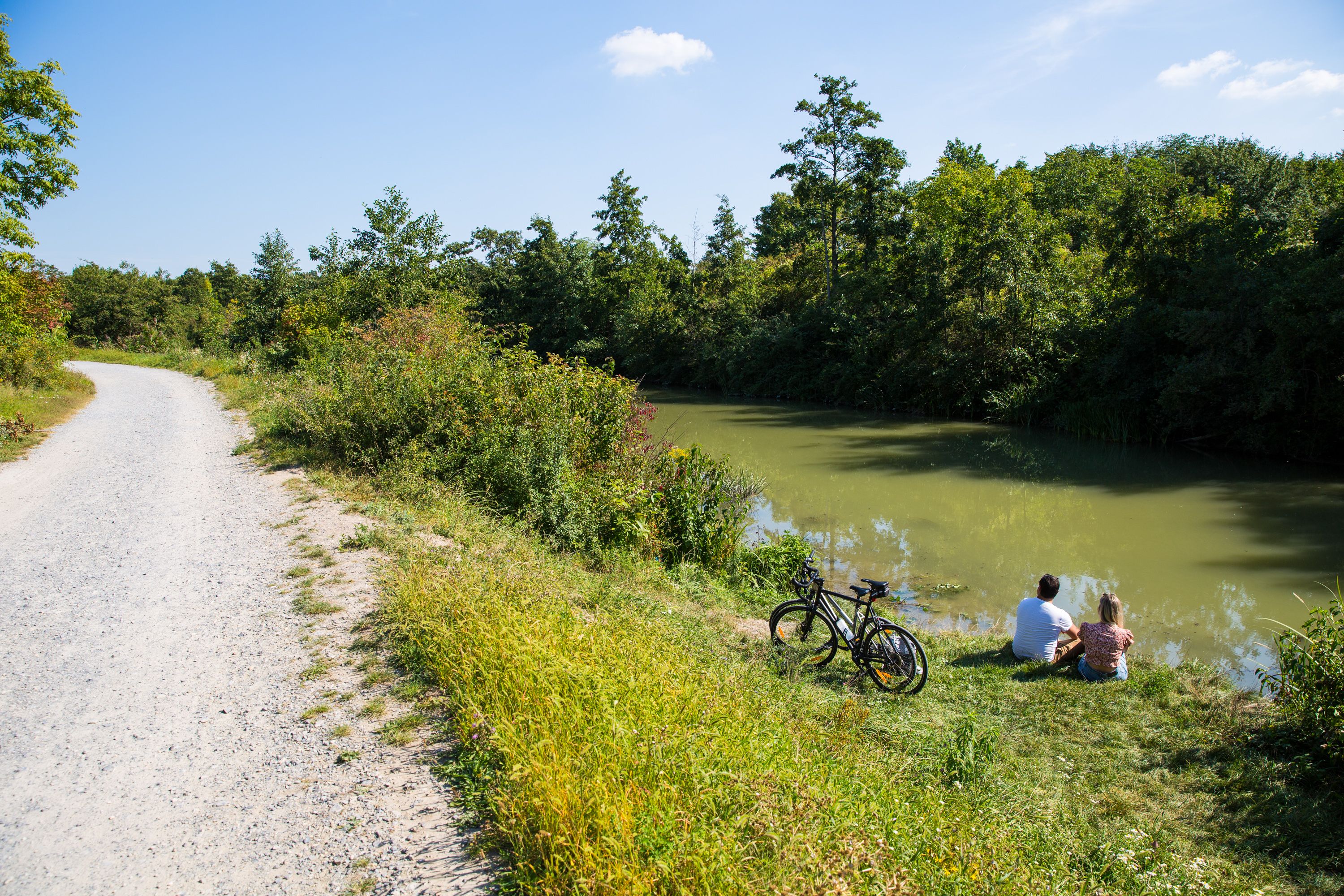 Das neue Projekt soll in Wien und Umgebung für mehr Grünraum sorgen.