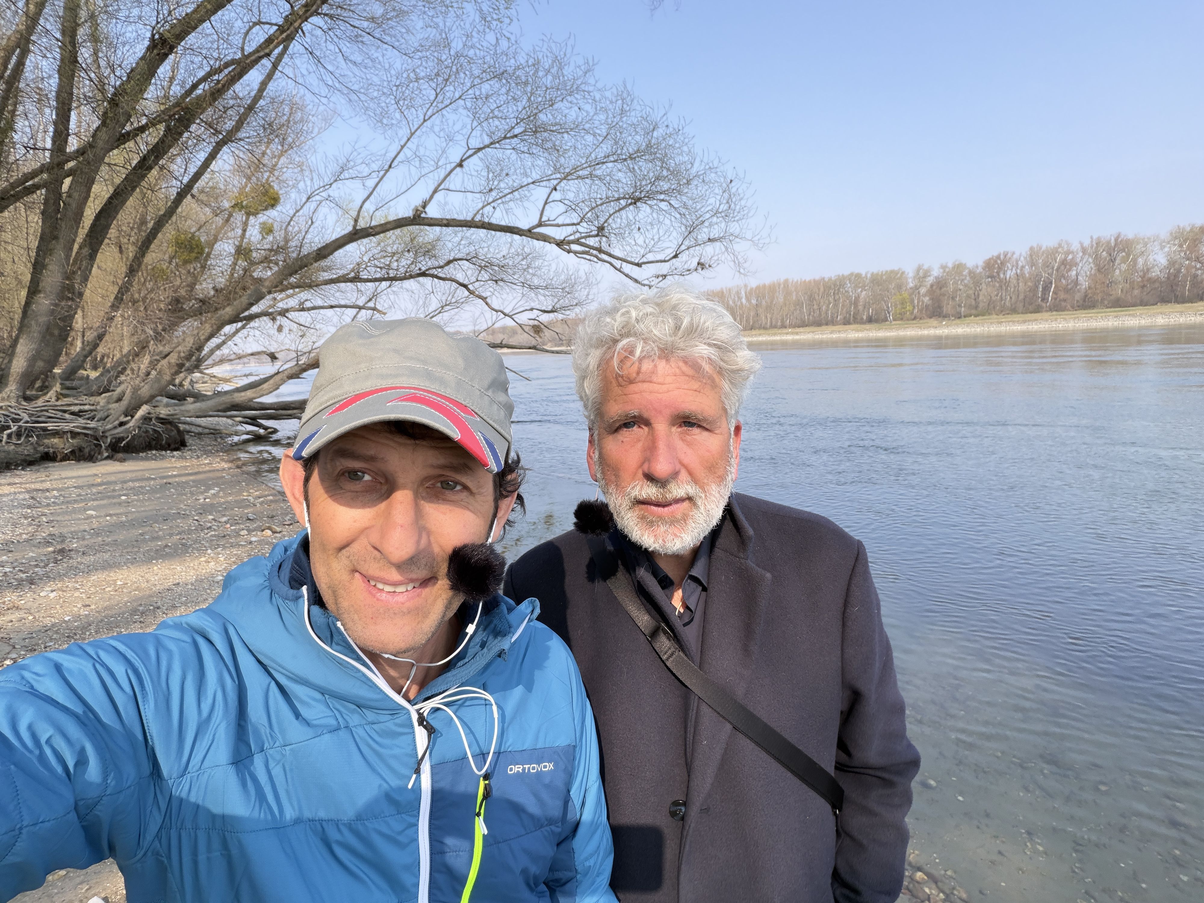 Heute.at - Dirk Stermann: Hätte mich nicht gern als Publikum