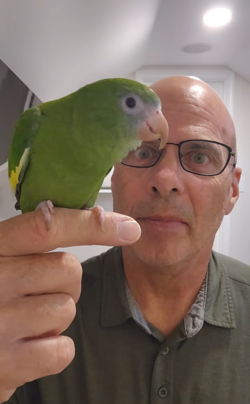 Papagei <strong>Bebe</strong> sorgt gerade in den sozialen Medien mit einem ungewöhnlichen Tauchgang für Furore.