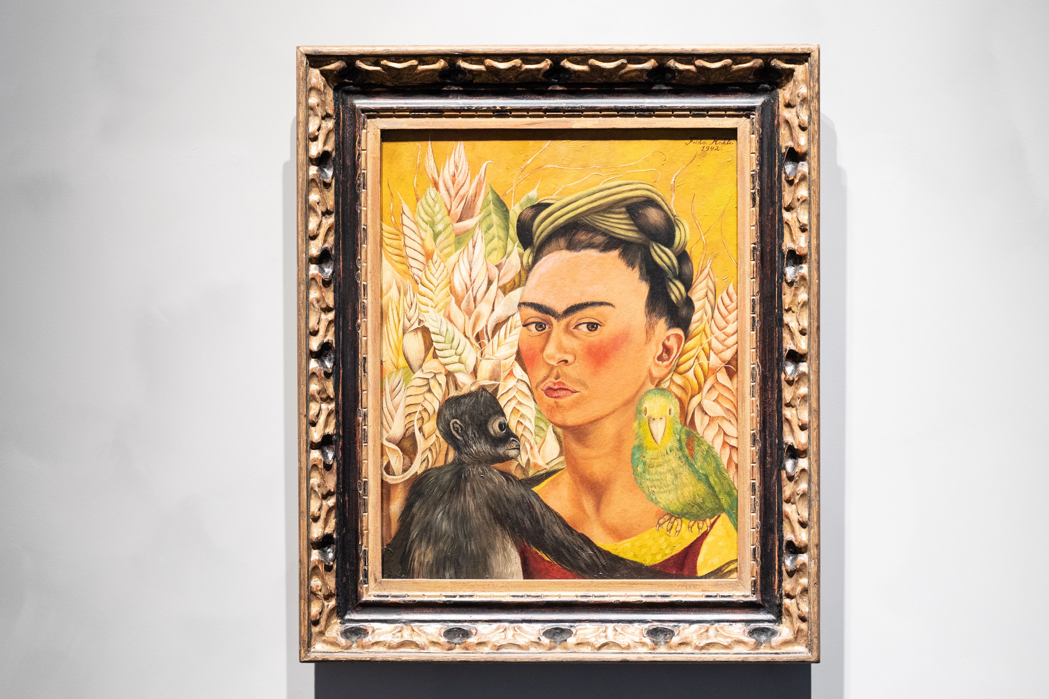 Frida Kahlo war eine mexikanische Künstlerin, die vor allem durch ihr körperliches und seelisches Leiden zur Malerei fand. Ihre Lebensgeschichte war geprägt von einem Busunfall, bei dem ihr Becken zertrümmert wurde, sowie von den Affären ihrer großen Liebe Diego Rivera.