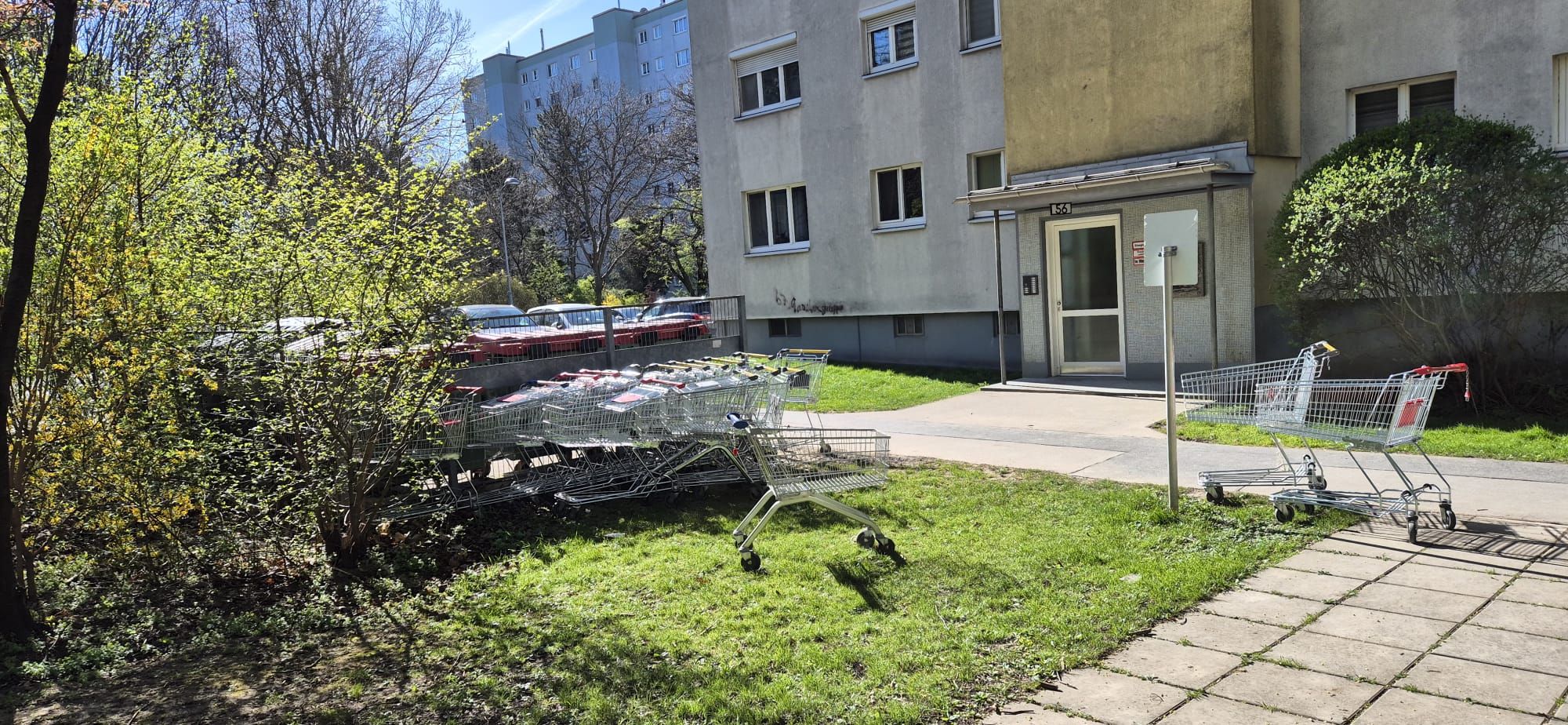 Heute.at - Einkaufswagerl-Friedhof! Wiener schäumt vor Wut