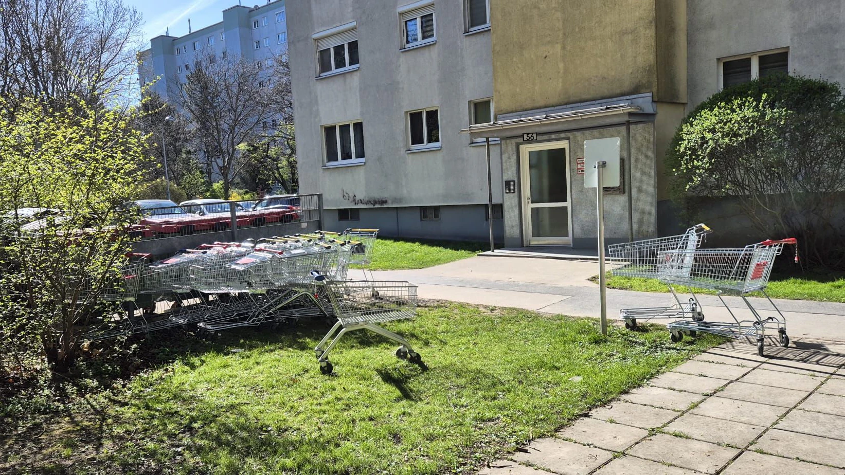 Heute.at - Einkaufswagerl-Friedhof! Wiener schäumt vor Wut