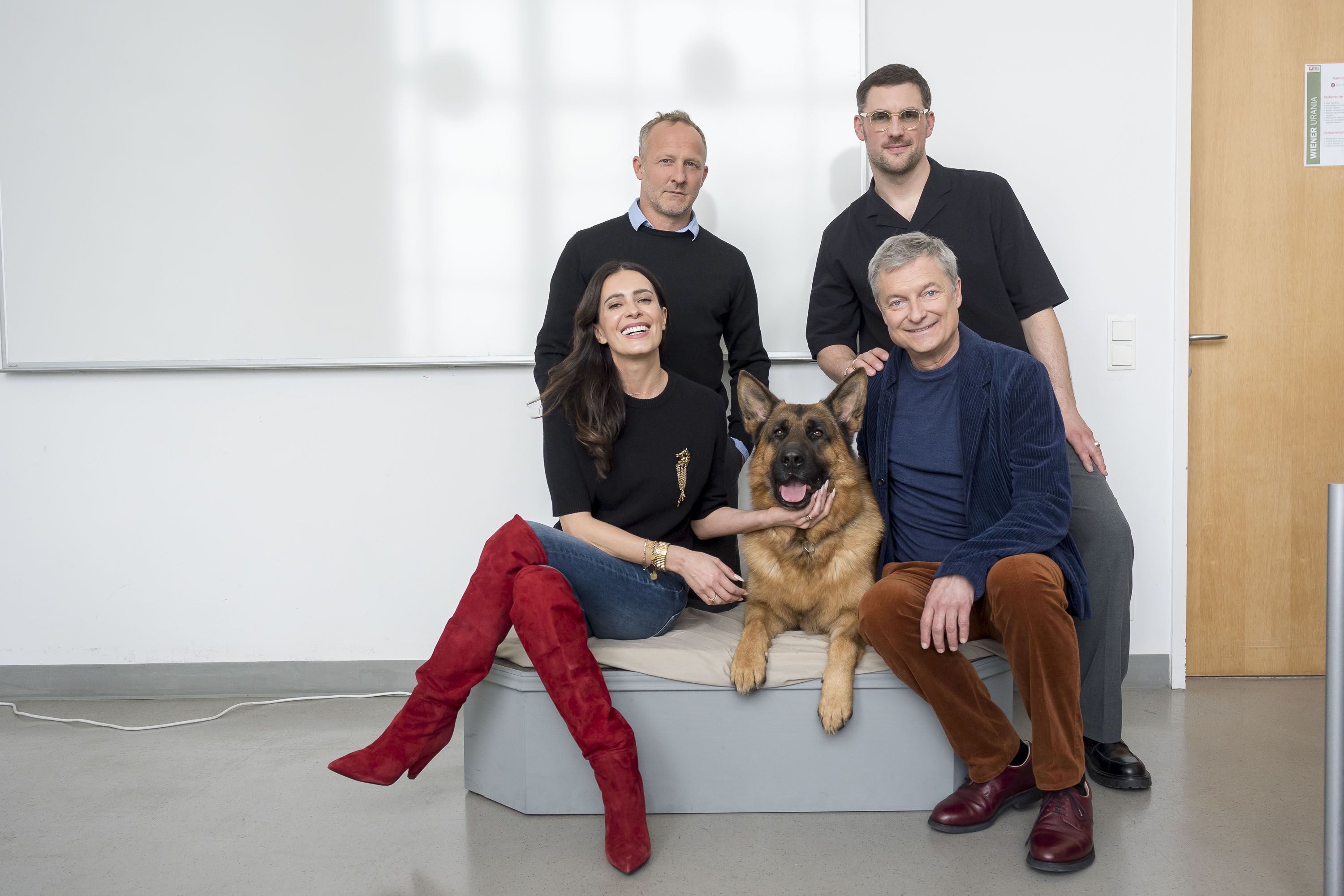 Heute.at - Kommissar Rex: Mit einem Hund im Raum ist alles gut