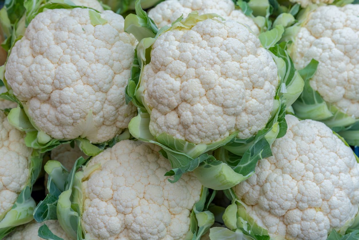 Heute.at - Gesundheitsschädlich! Karfiol-Rückruf läuft
