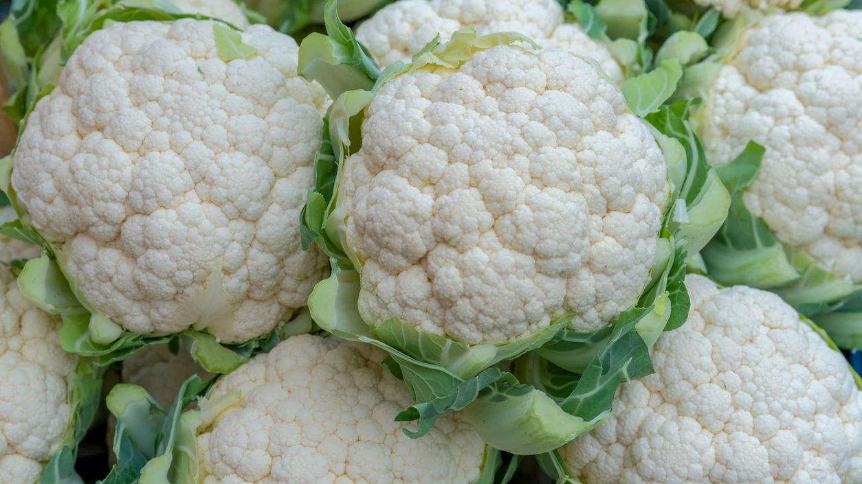 Untreated fresh BIO Cauliflower for sale at a farmers market
