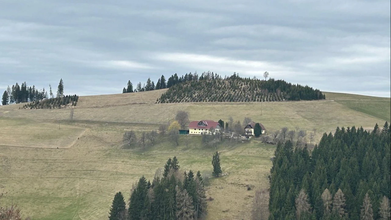 Trauriger Anblick: Braune Wiesen am Haimburgerberg (Gemeinde Diex) in Kärnten.