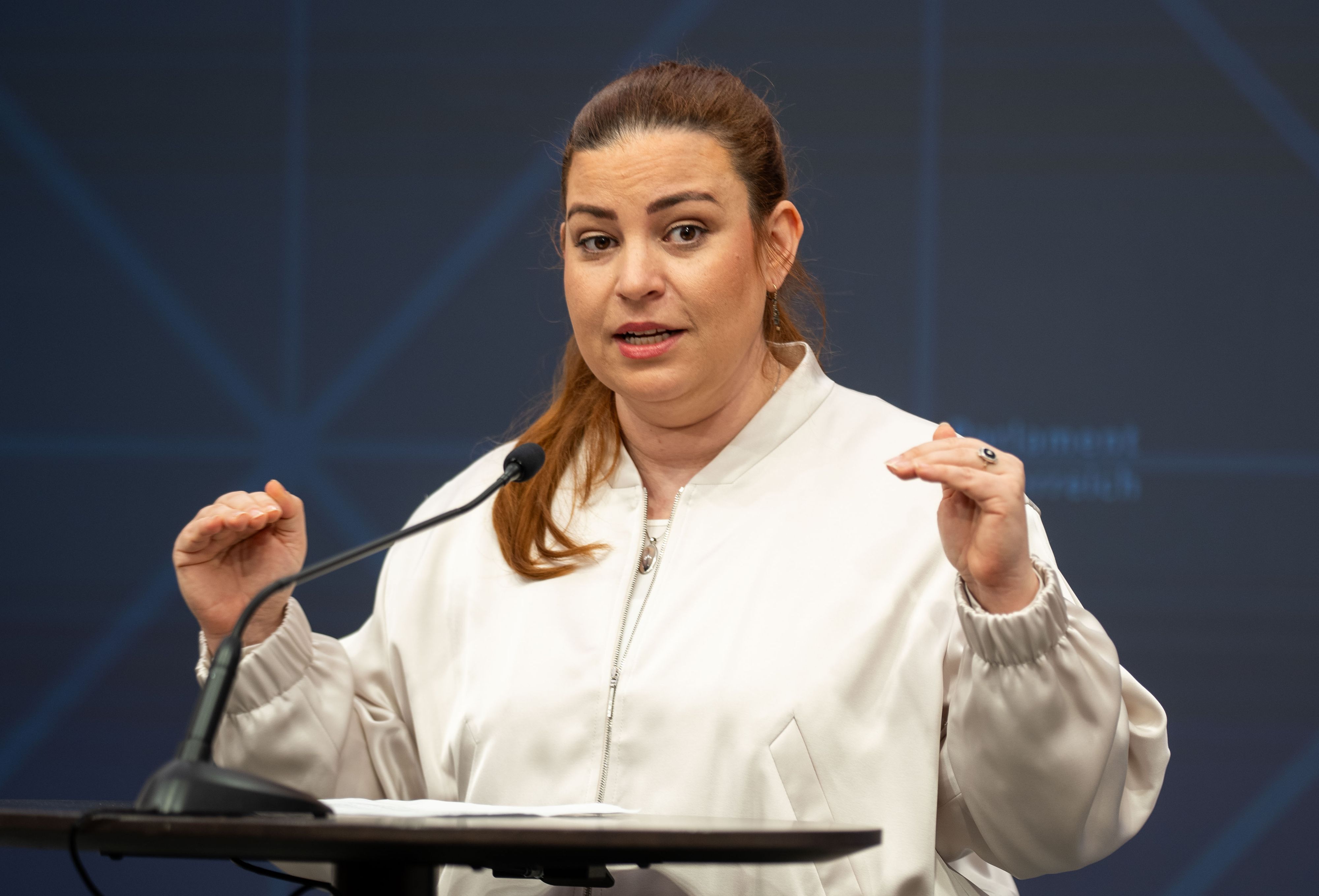 Fraktionsführerin Nina Tomaselli (Grünen) erwägt den Gang vor den Verfassungsgerichtshof.