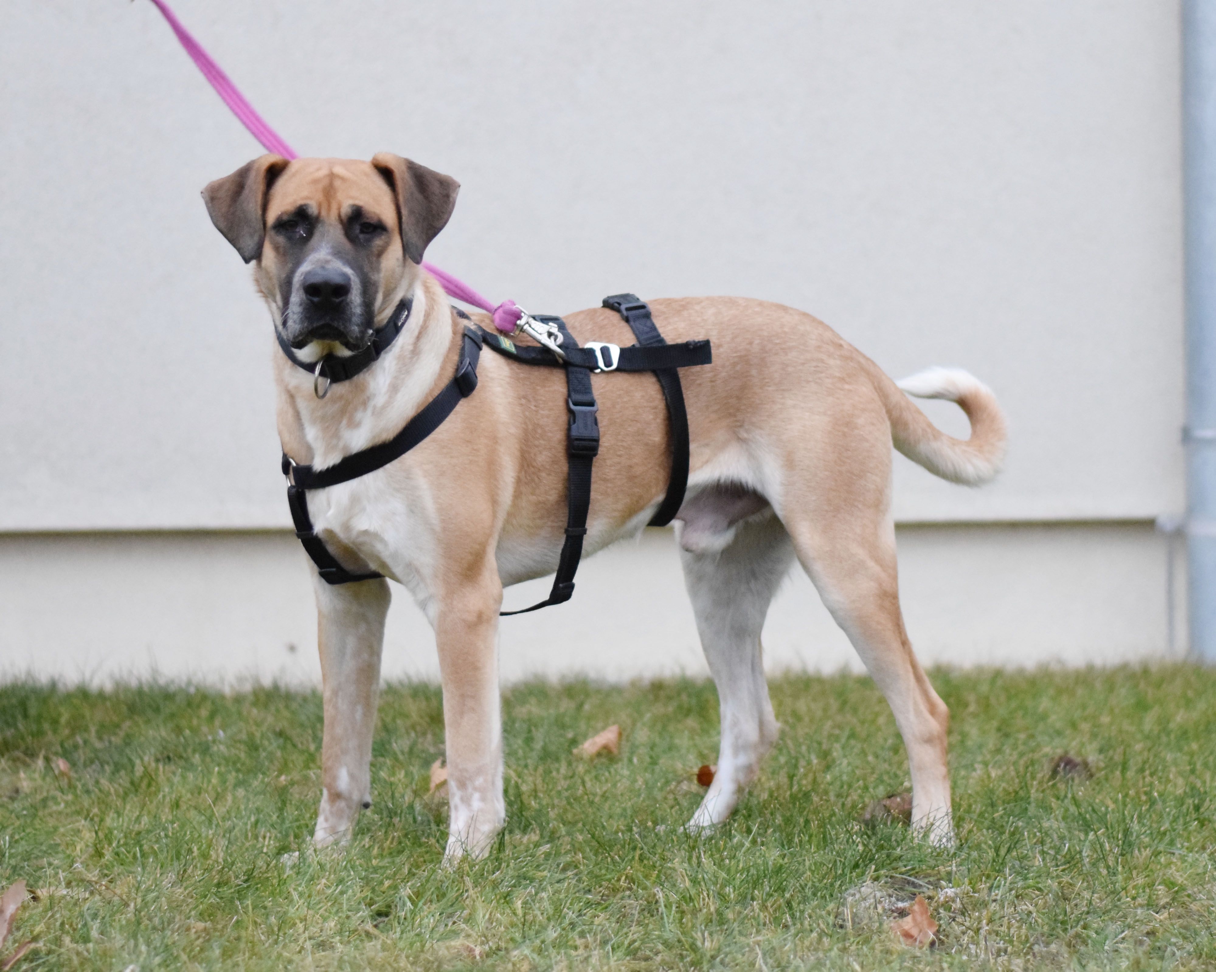 Lasko sucht souveräne Menschen, die ihm Sicherheit geben.