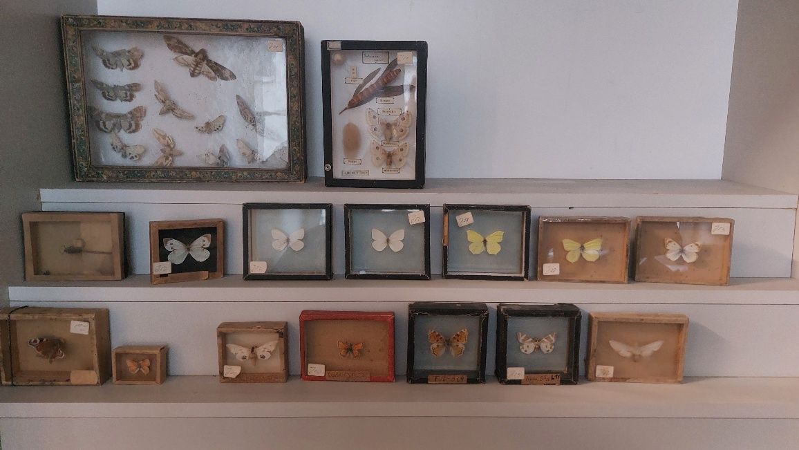 Am 10. April um 15.55 Uhr erfolgen der Zuschläge der Auktion.