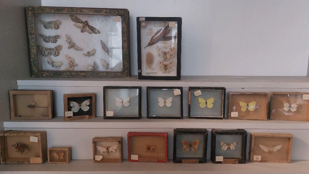 Am 10. April um 15.55 Uhr erfolgt der Zuschlag der Auktion.