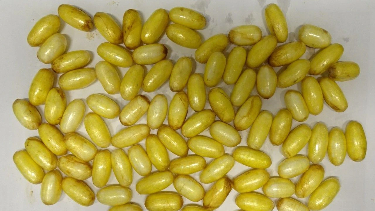 Der Mann hatte unzählige Kokain-Pillen geschluckt.