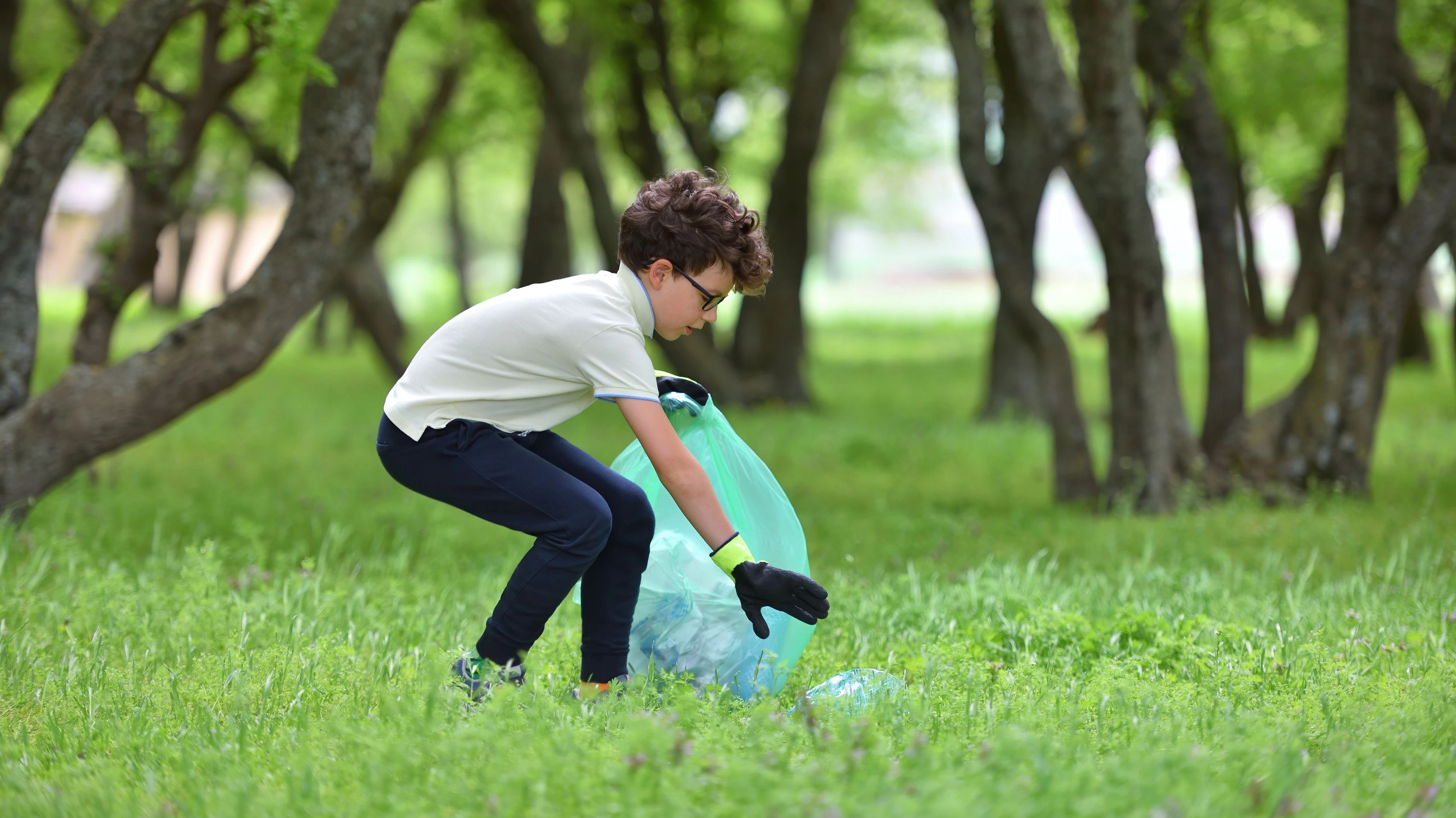 Recycle waste litter rubbish garbage trash junk clean training. Nature cleaning, volunteer ecology green concept. Young men and boys pick up spring forest at sunset. Environment plastic pollution