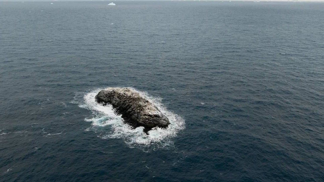 Heute.at - Dreckiger Eisberg führt zu unerwarteter Entdeckung