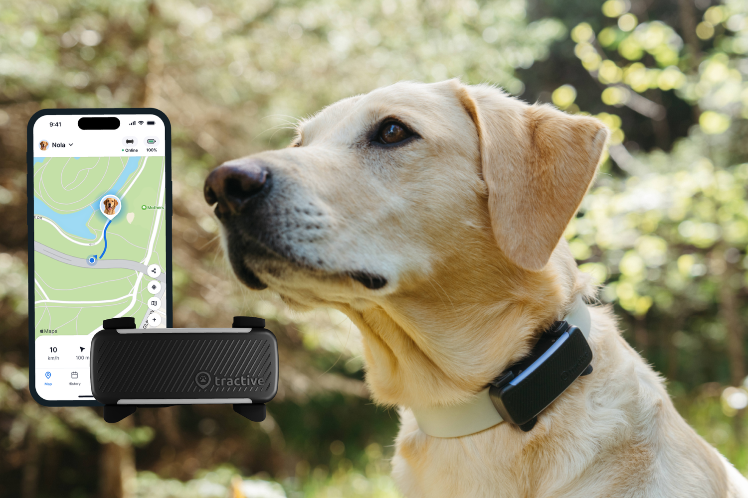 Der Tracker aus Oberösterreich misst Verhalten und Gesundheit und zeigt direkt am Handy, wenn sich bei deinem Hund etwas verändert.