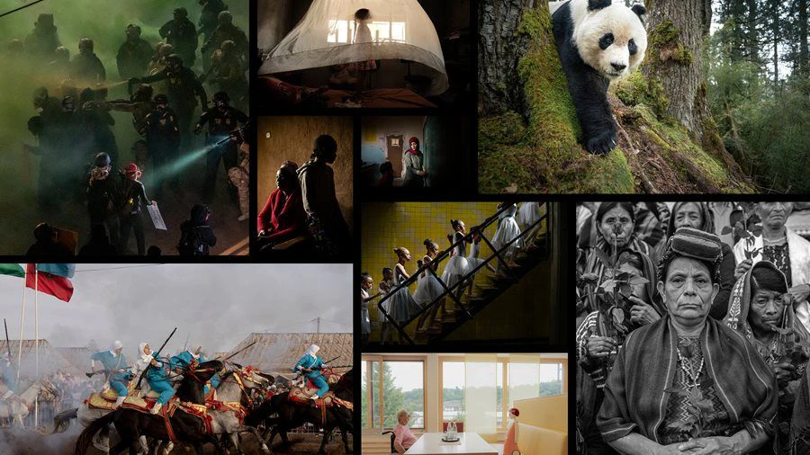 Die Gewinner des "World Press Photo Contest" 2026 wurden bekannt gegeben. 