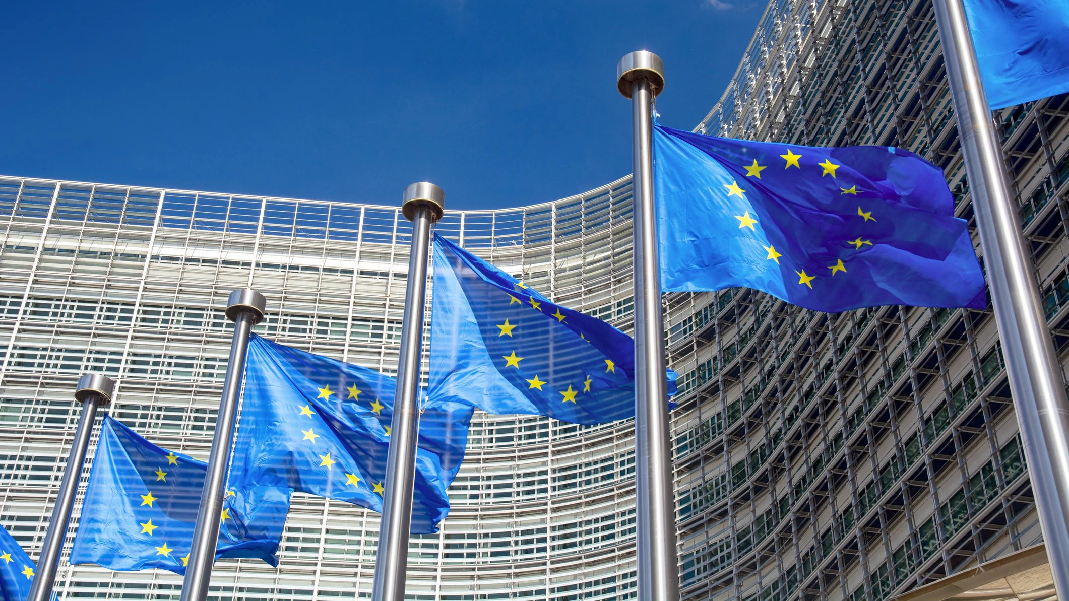 Die EU könnte bald neue Mitglieder bekommen. 