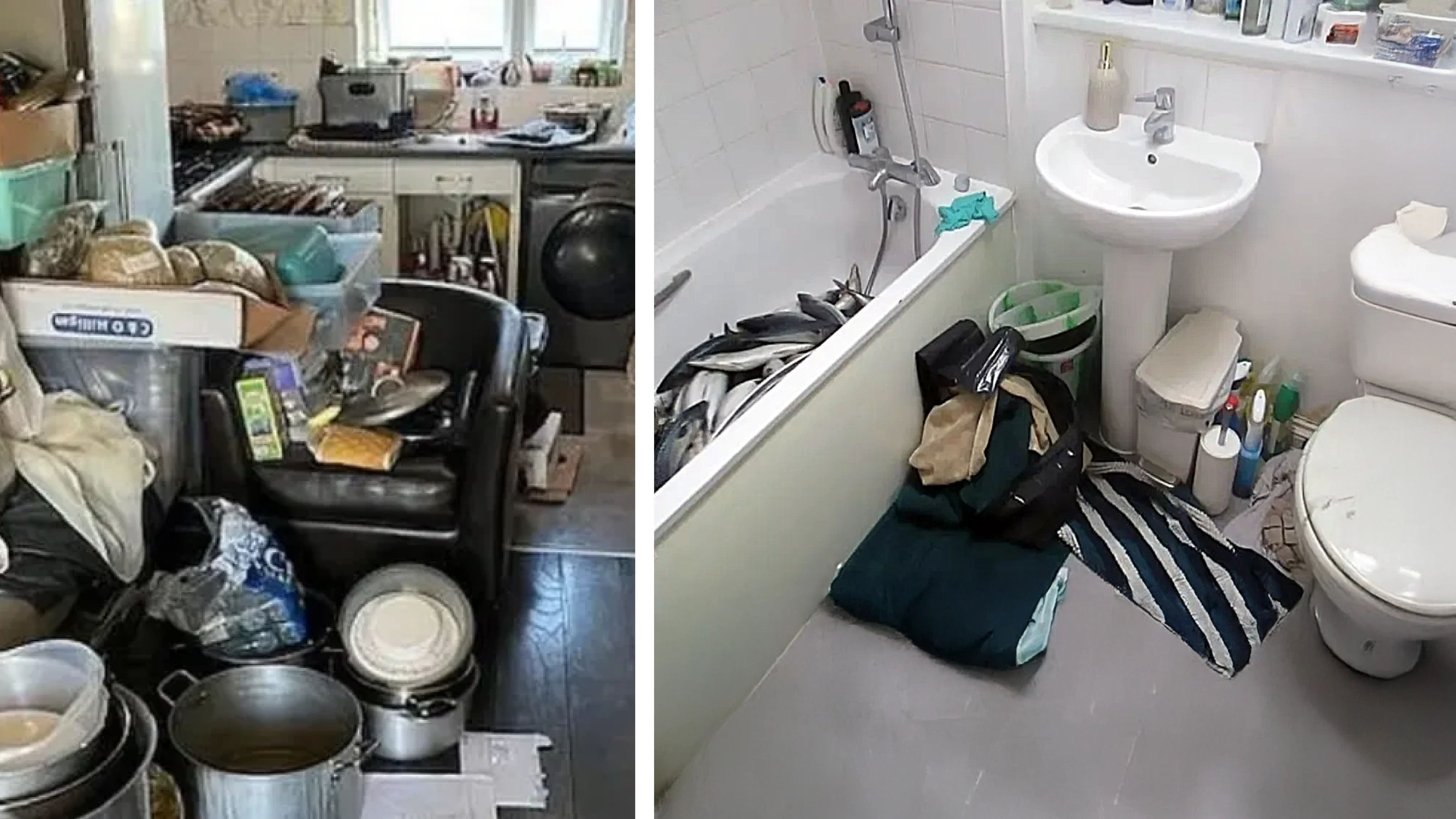 Illegale Fischfabrik in England ausgehoben