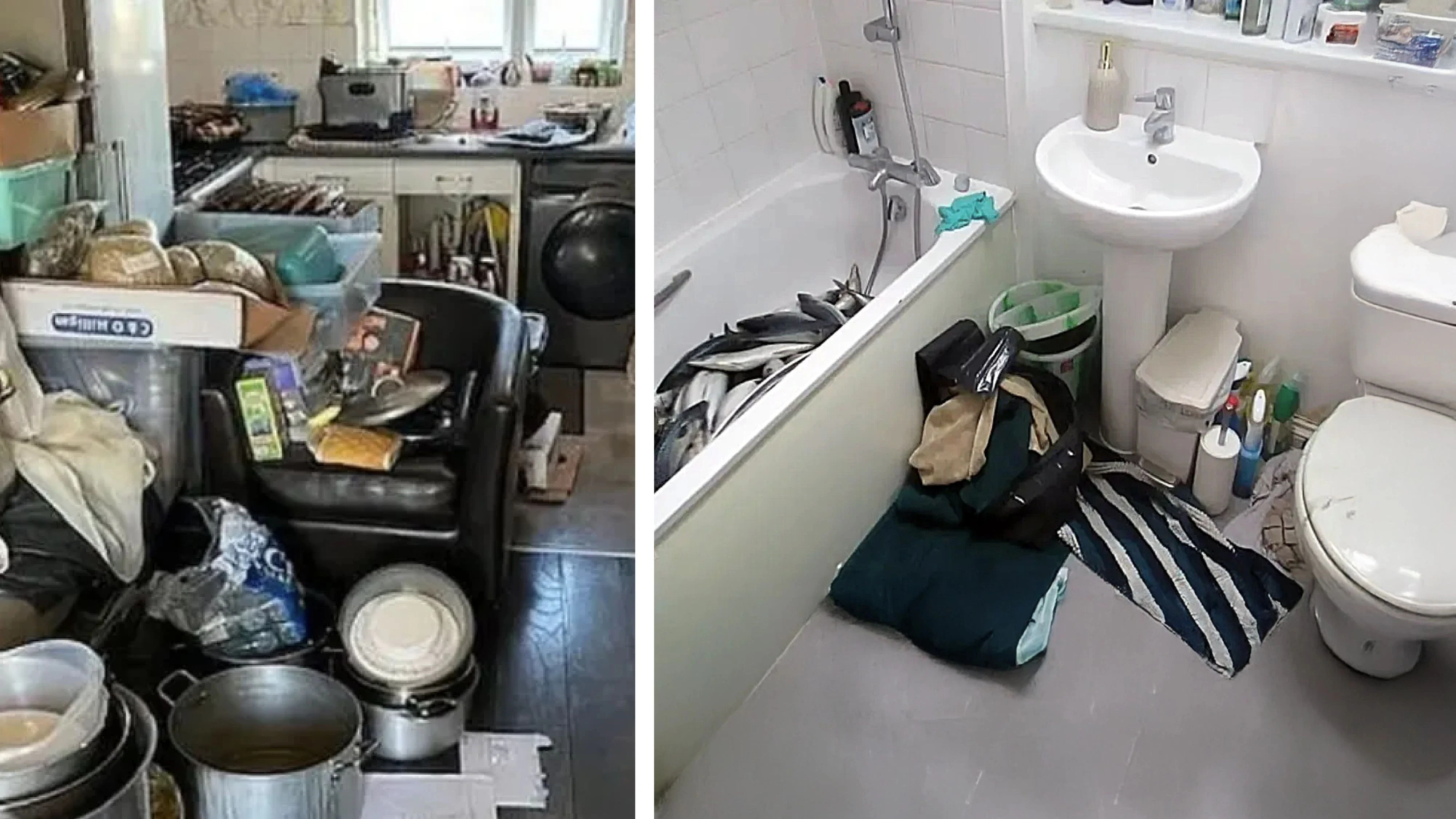 Illegale Fischfabrik in England ausgehoben