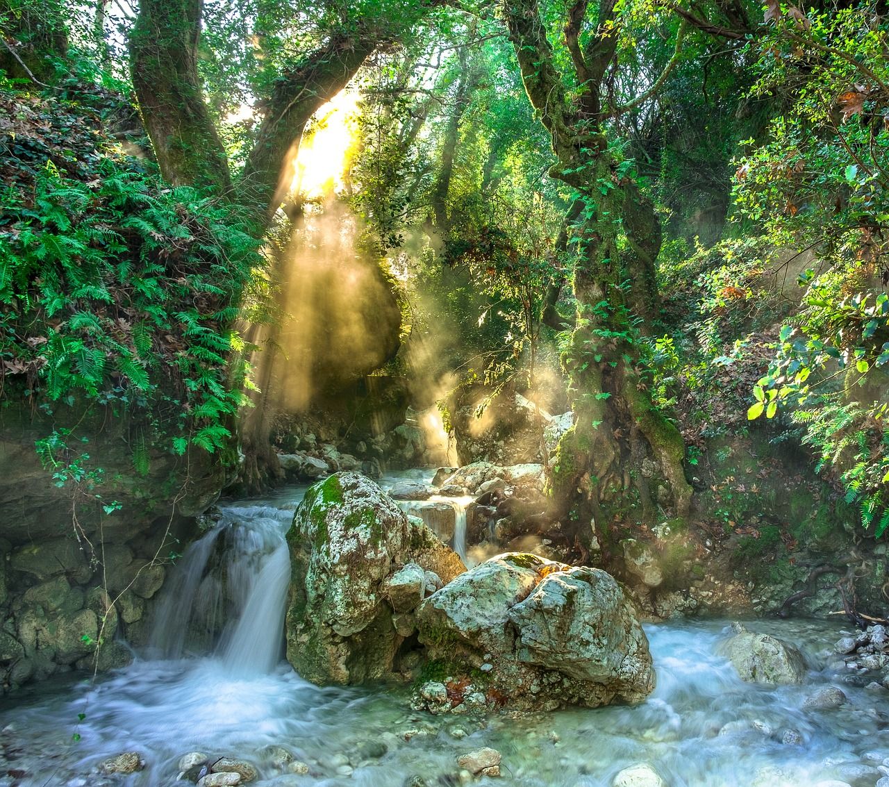 Tropischer Regenwald mit Wasserstrom