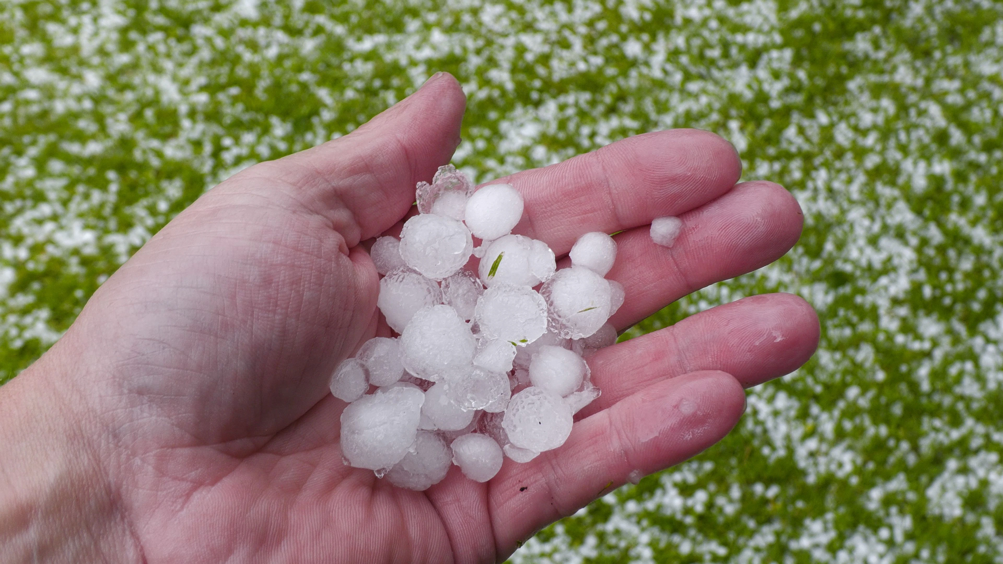 ACT -- Schwere Gewitter und Unwetter zogen am späten Montagabend und in der ersten Nachthälfte über weite Teile Südbayerns hinweg. Auf Grund der synoptischen Ausgangslage steht seit Montag in weiten Teilen Deutschlands eine Schwergewitterlage ins Haus. Am Montag war vor allem Südbayern betroffen. An den Alpen hangelten sich immer wieder rotierende Gewitterzellen entlang. Eine sogenannte HP-Superzelle (englisch high precipitation supercell) zog vom Allgäu über den Landkreis Garmisch-Partenkirchen. Extrem heftiger Starkregen trat in Murnau am Staffelsee auf. Die Kanalisation schaffte die Wassermassen nicht. Der Aufzug zwar spektakulär. Blitze zuckten im Sekundentakt. Auch Hagel war dabei. Starkregen führte zu ersten schwachen Überschwemmungen - Bayern ist auf Grund der Vorgeschichte vorbelastet. Am Dienstag sind andere Teile Deutschlands von heftigen Unwettern betroffen.