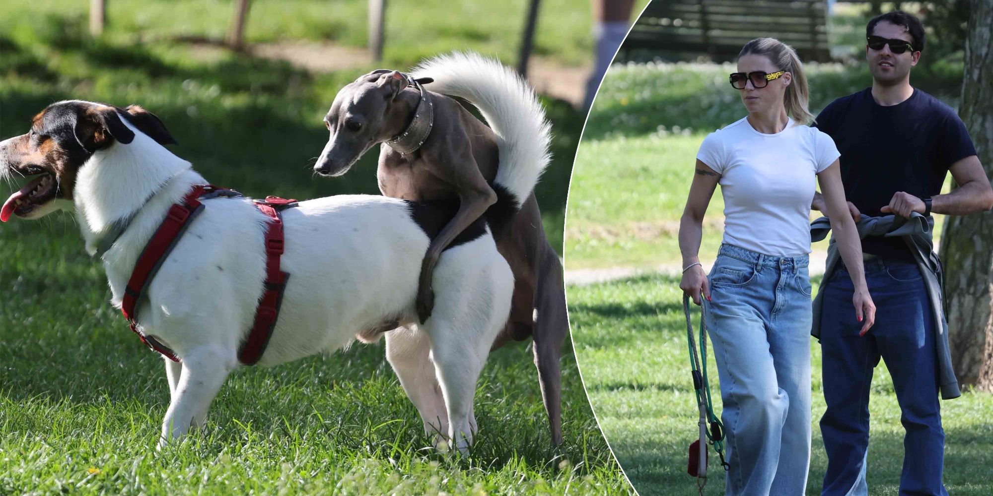 Michelle Hunziker konnte quasi nur tatenlos zusehen.