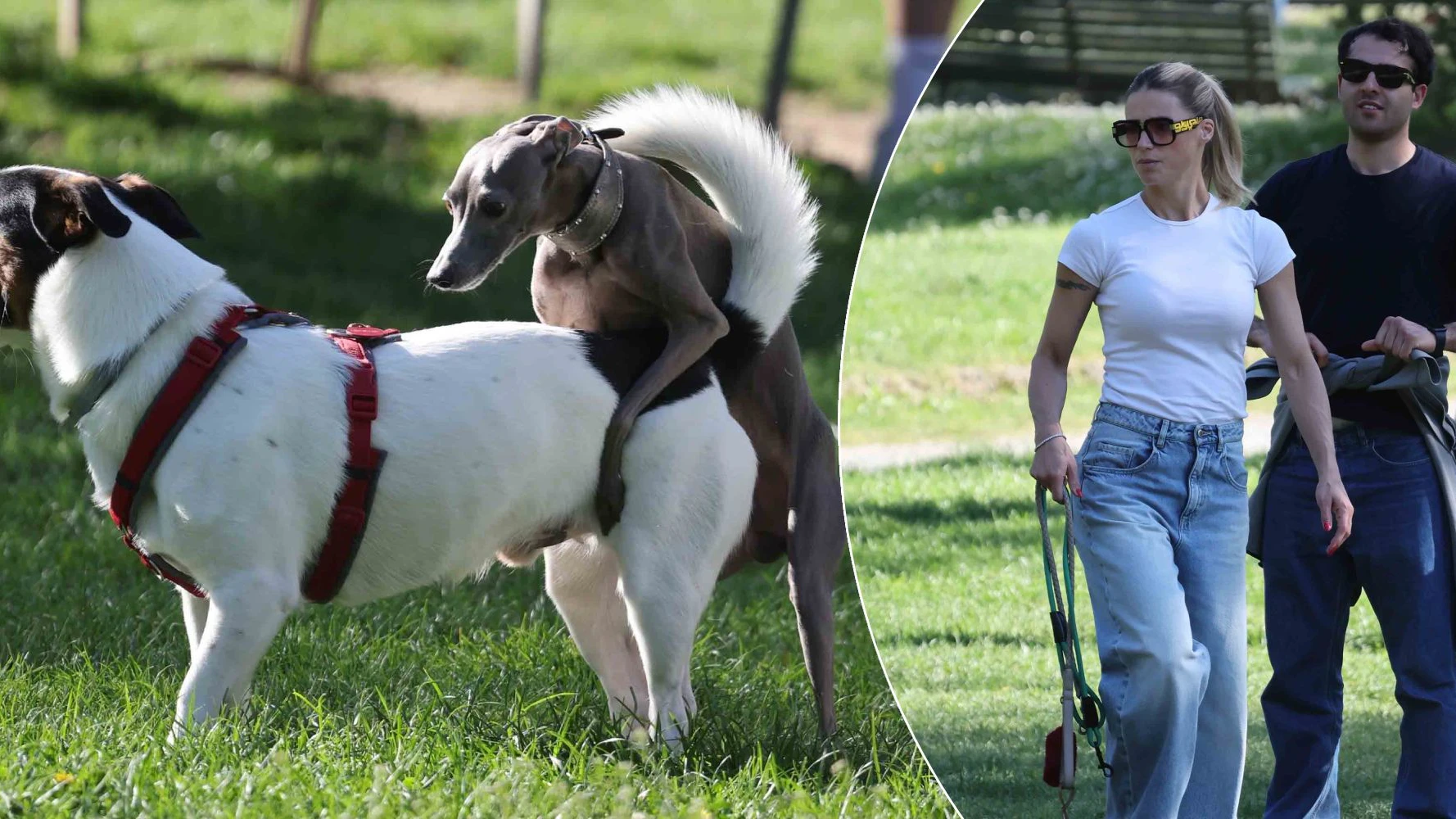 Heute.at - Michelle Hunziker sorgt für Liebes-Chaos im Park