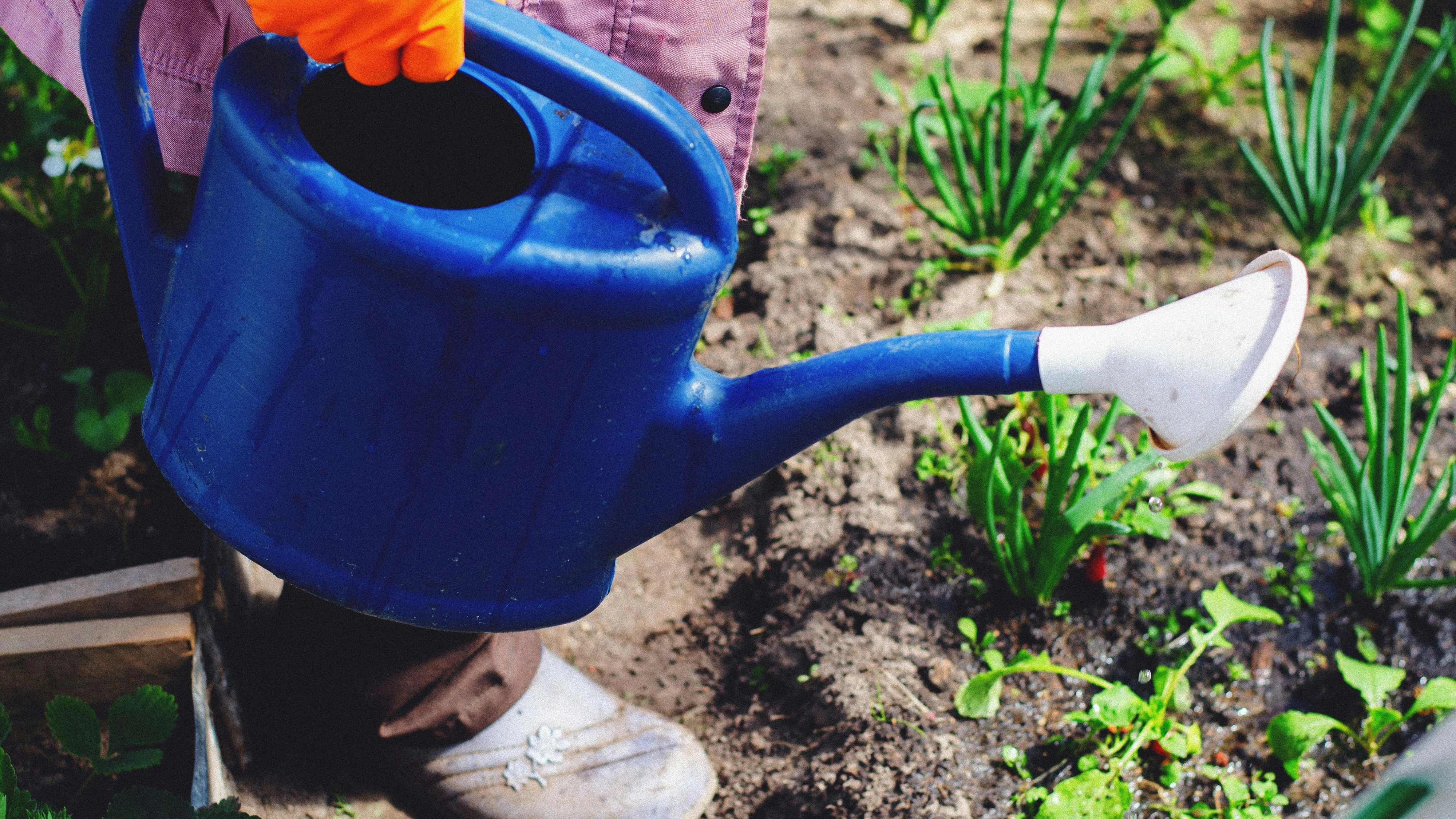 Heute.at - 4 Tipps: So machst du deinen Garten frühlingsfit