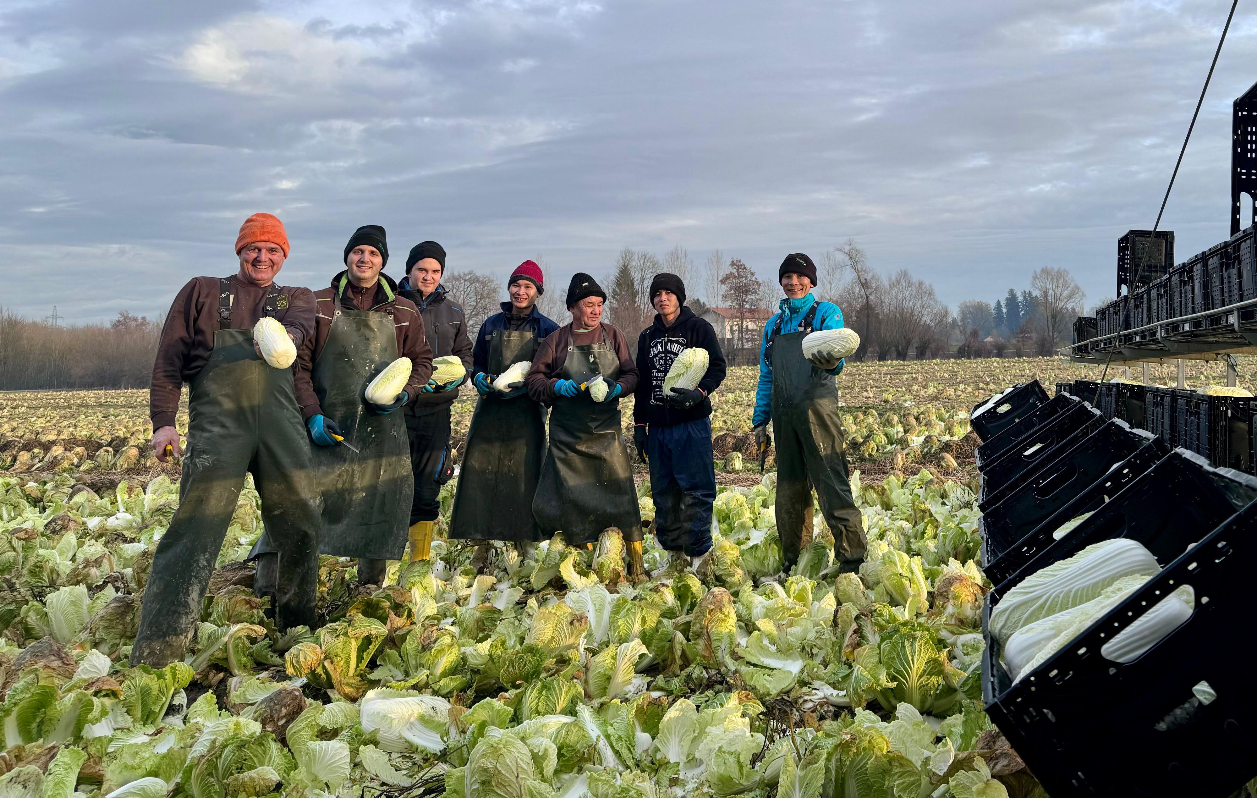 Gemüsebauer Ewald Mayr (links) ist sehr dankbar für seine Erntehelfer aus aller Welt.