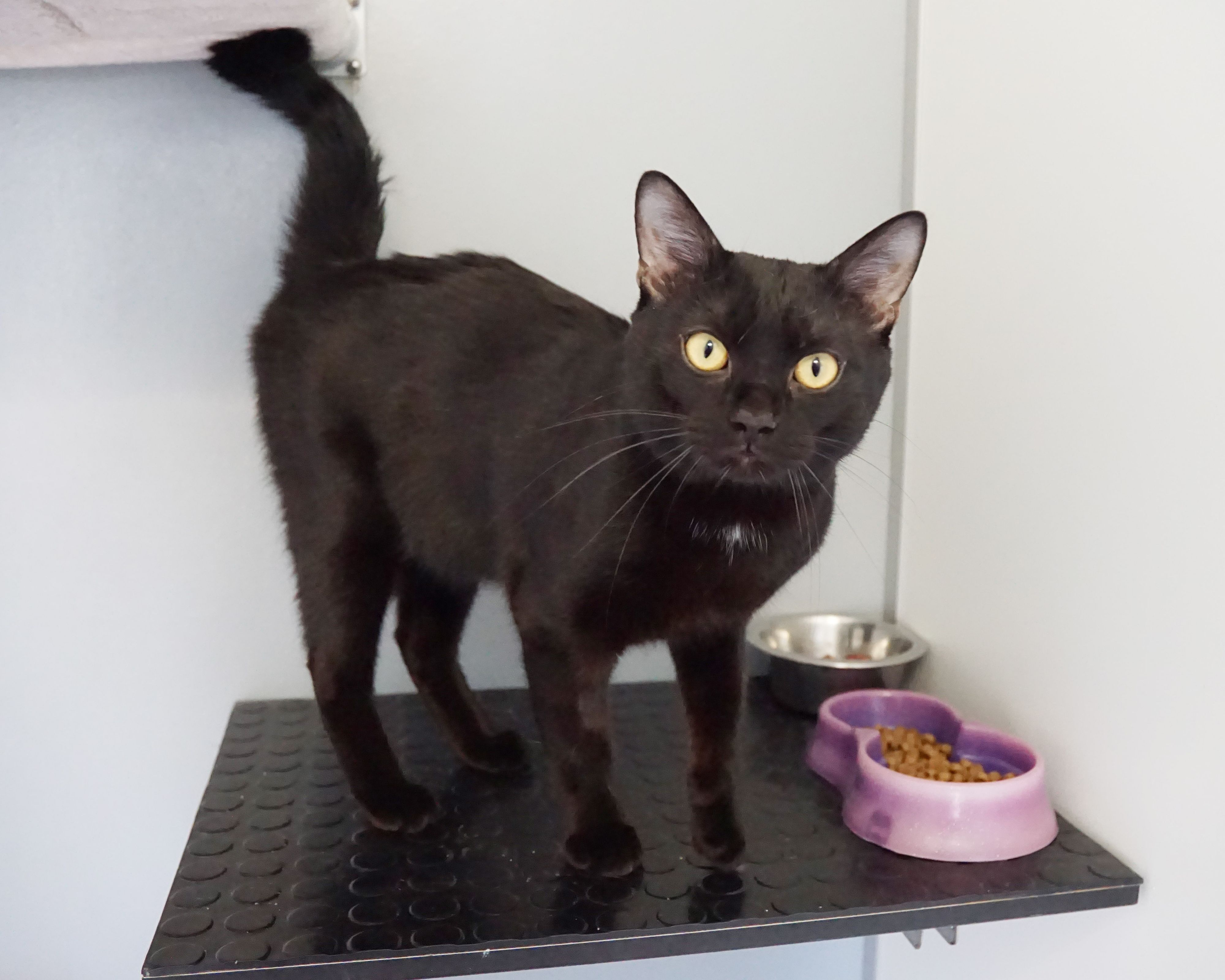 Heute.at - Mirio genießt die Nähe - und seinen Freiraum