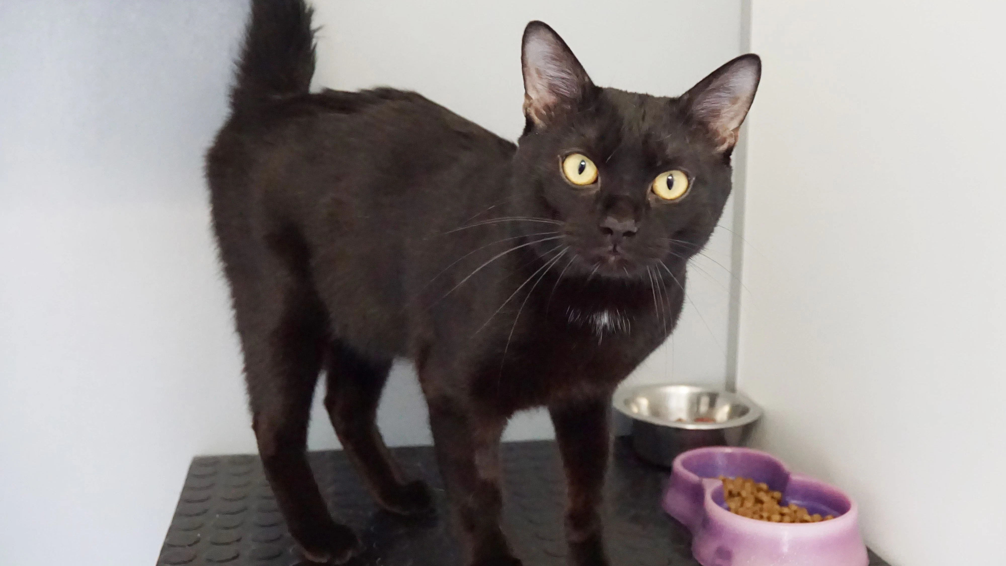 Heute.at - Mirio genießt die Nähe - und seinen Freiraum