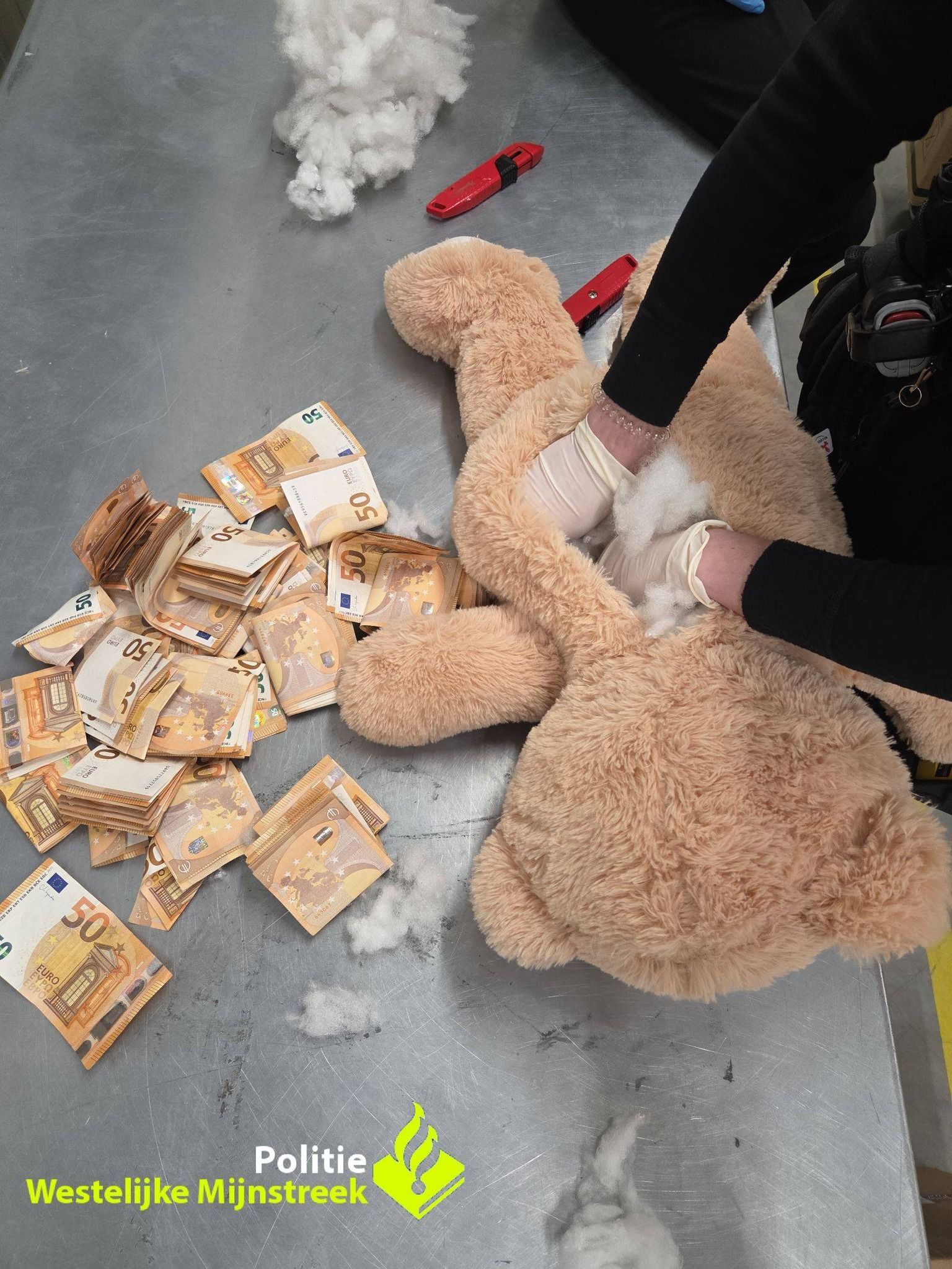 Heute.at - 50.000€ in Teddybär versteckt – Polizei macht Mega-Fund