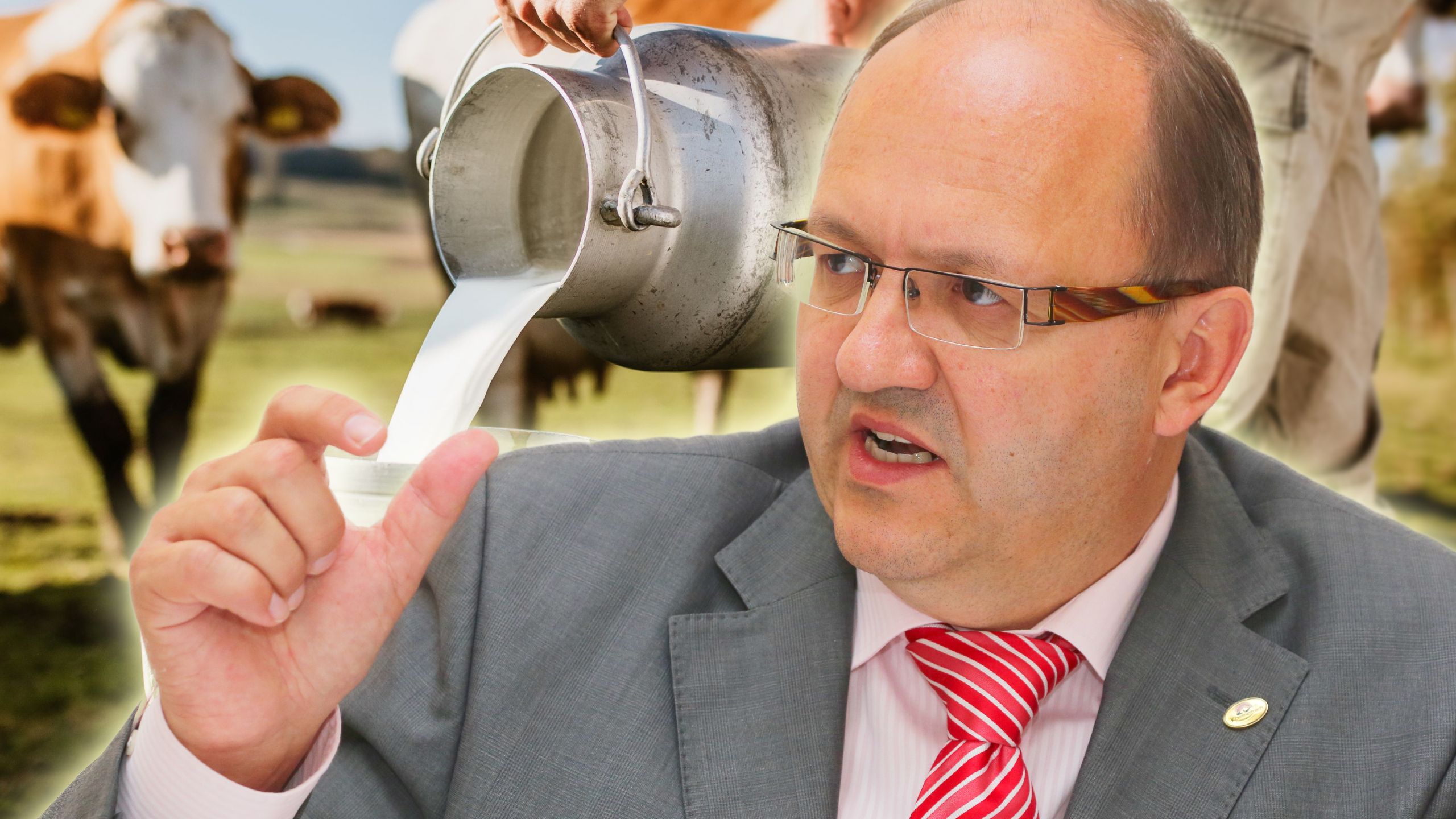 Helmut Petschar, Präsident des Milchverbandes und Chef der Kärntnermilch, spricht von einer 