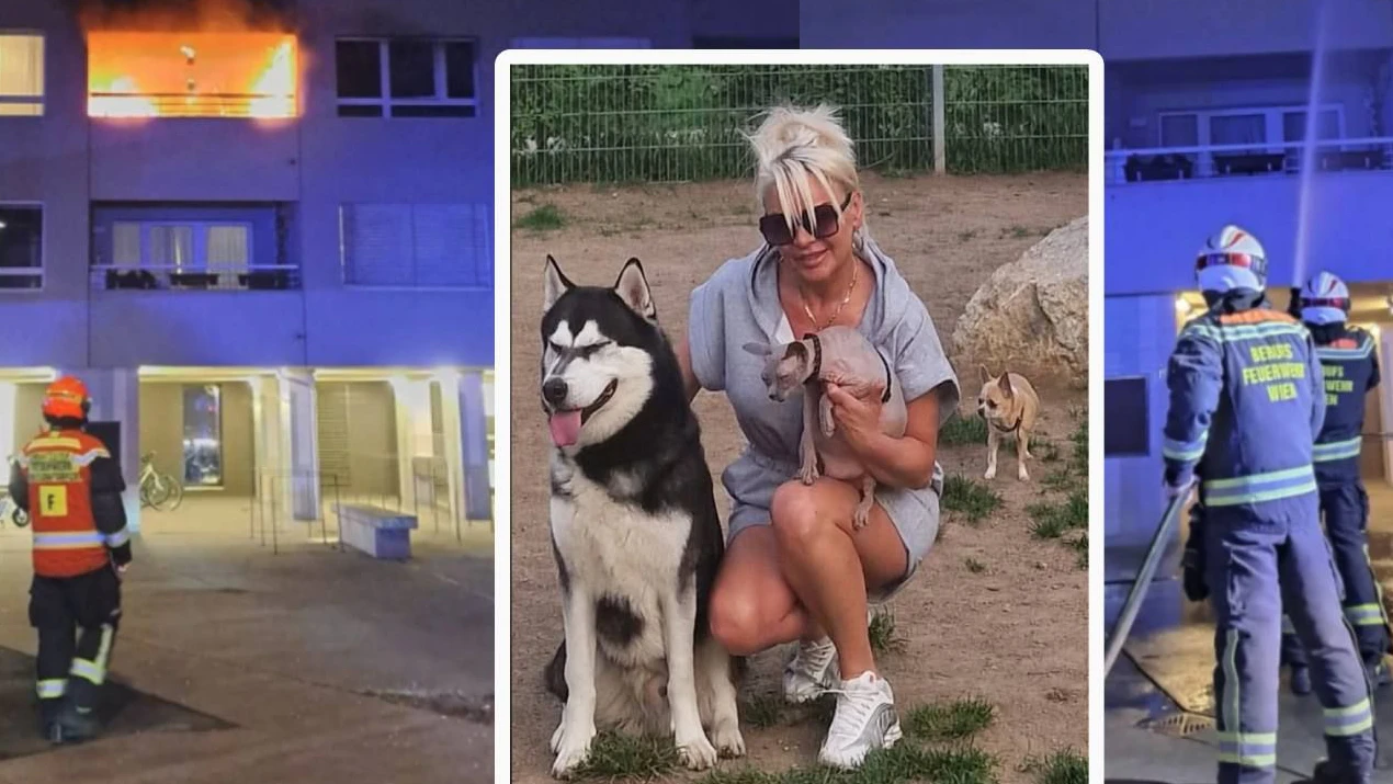 Heute.at - Stehe vor dem Nichts – Böller zerstörte Annas Wohnung