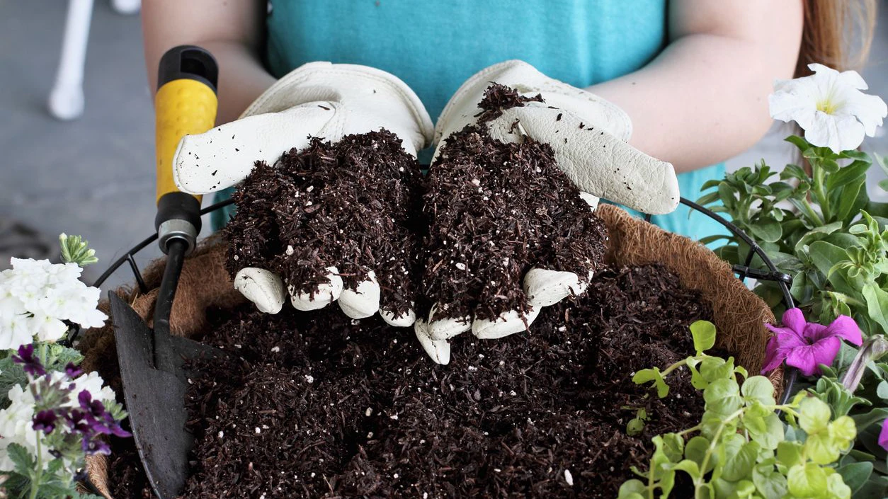 Heute.at - So kannst du alte Erde wiederverwenden