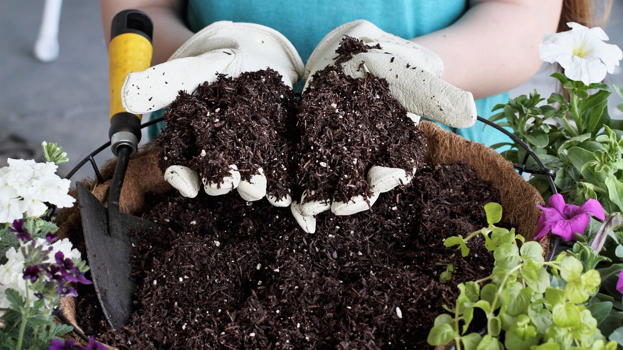 Young woman holding potting soil over a hanging basket with flowers. Flowers include Verbena, Petunias, Creeping Jenny and Alyssum.