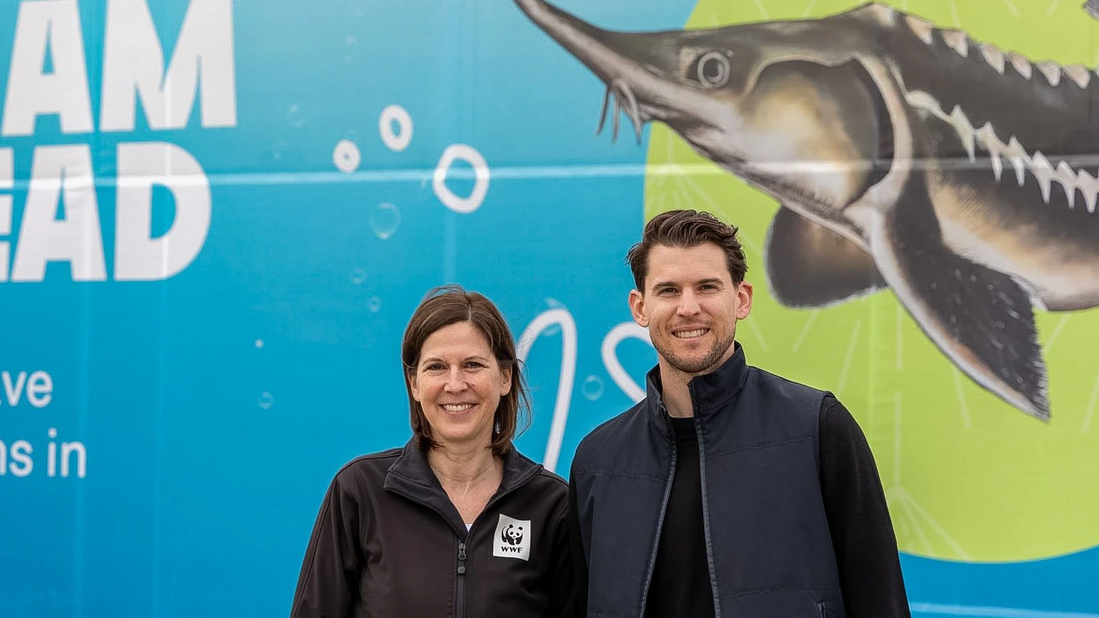 Heute.at - Stör-Aktion – Dominic Thiem kämpft für Urzeitfische