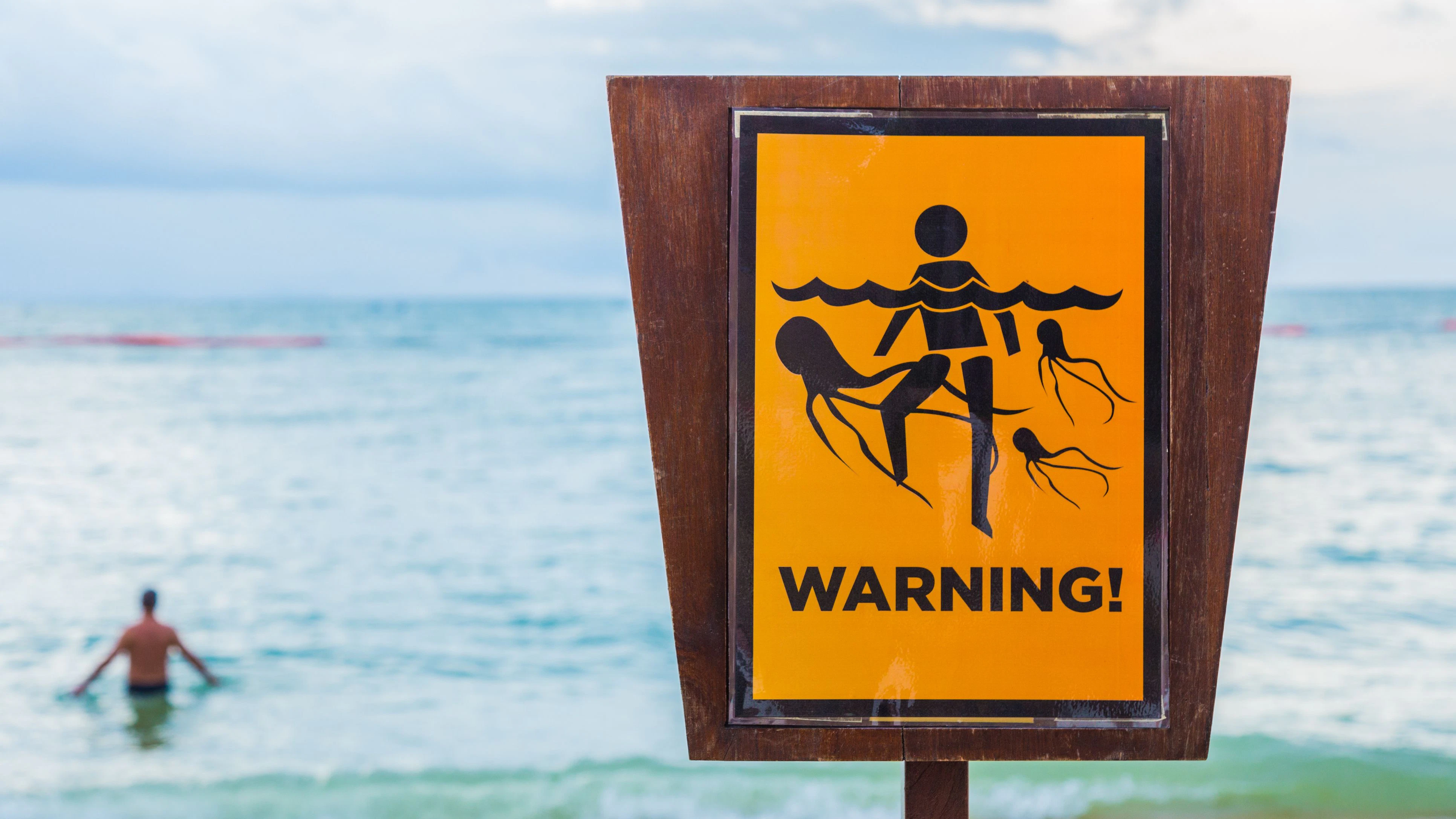 jellyfish warning sign at a beach in Pattaya, Thailand.