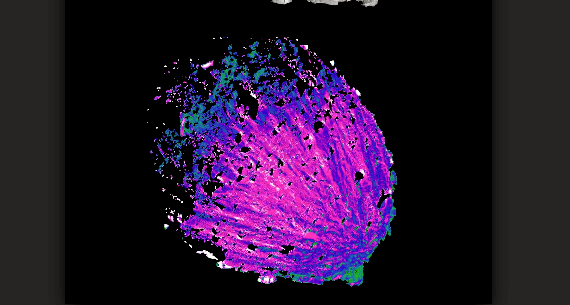 Heute.at - Kosmische Schneebälle – Asteroiden als Steinewerfer