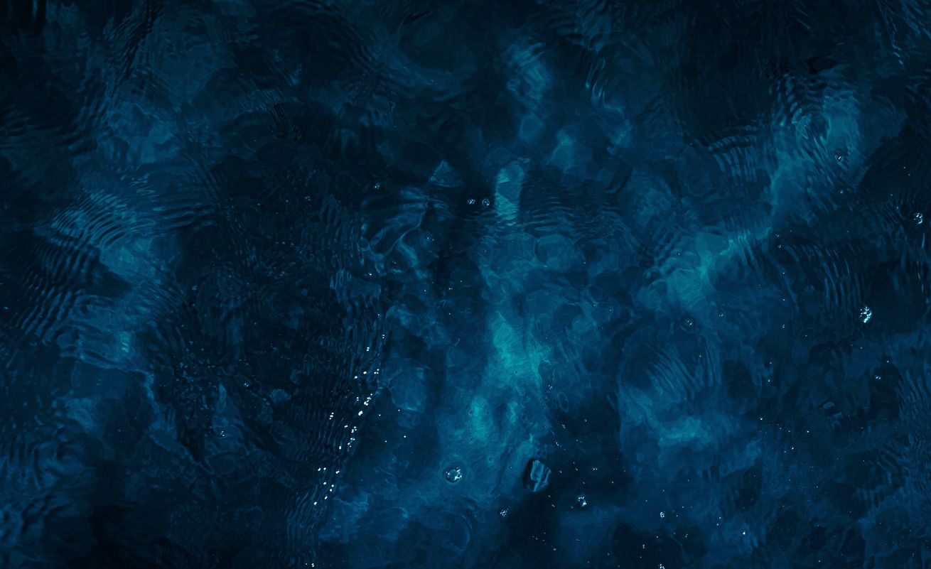 Heute.at - Mysteriöses Tier in 9.000 Metern Tiefe entdeckt