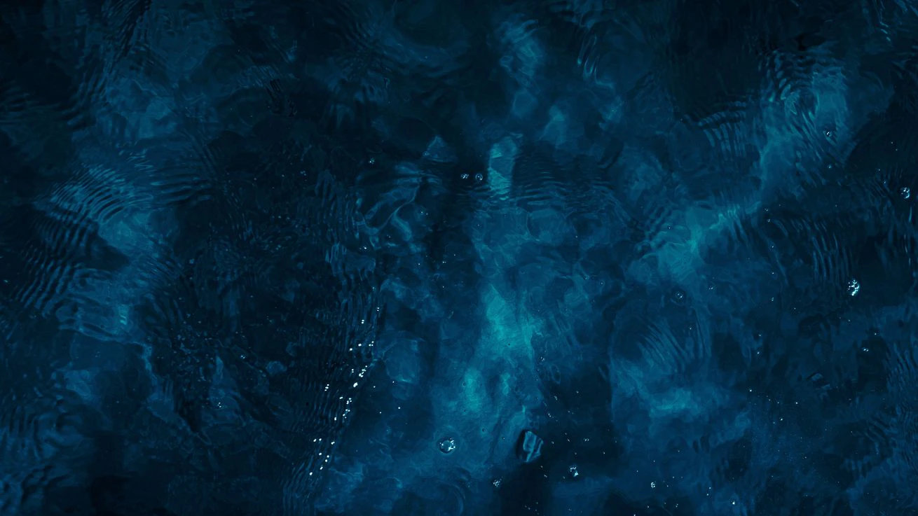 Das Tier wurde in 9.000 Metern Tiefe gefunden.